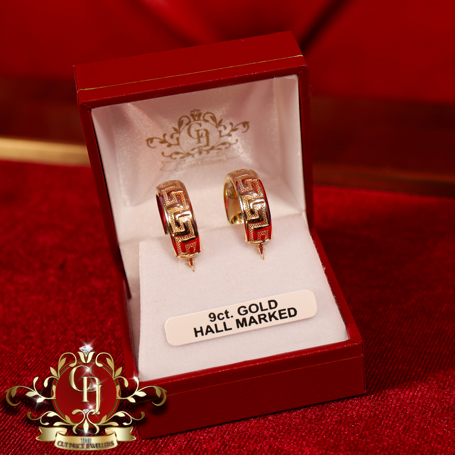 9ct "Donatella" Earrings | The Cut Price Jewellers