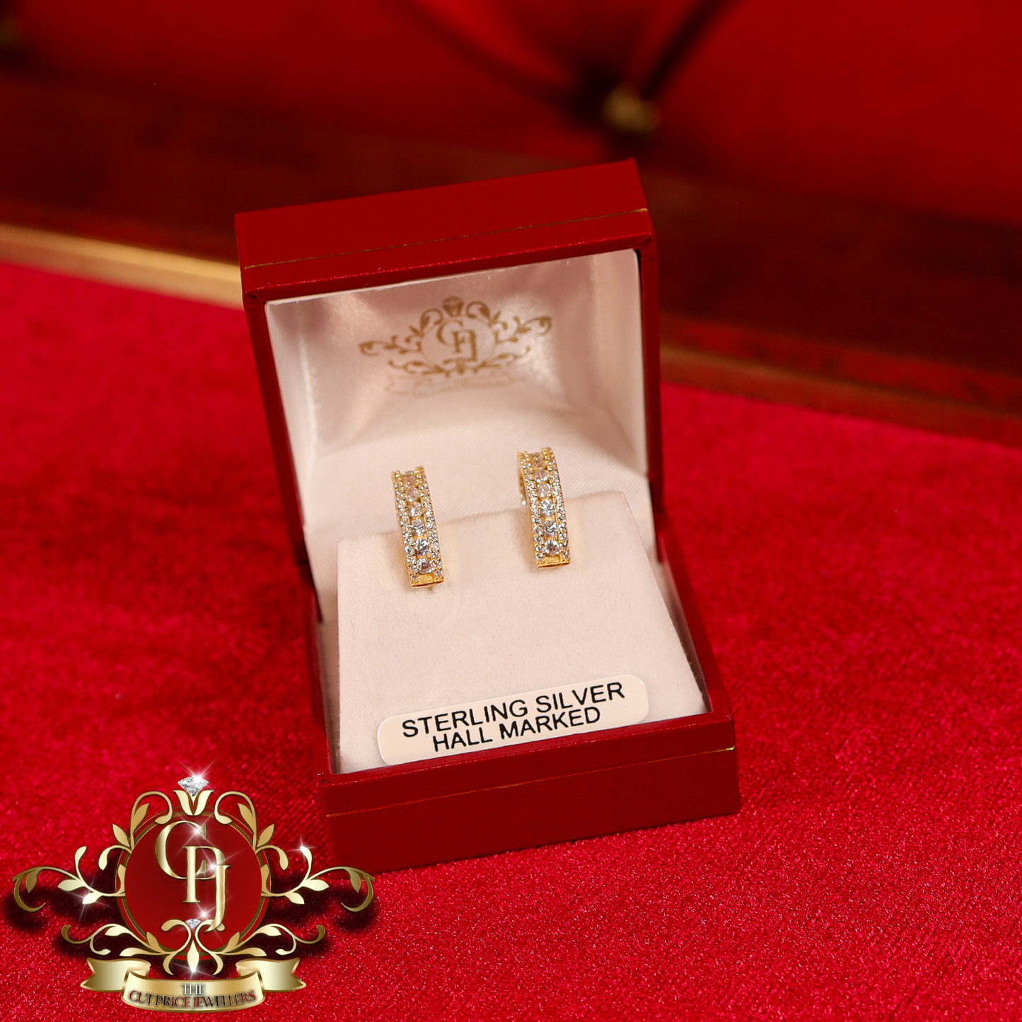 The "Luna" Hoops (Gold-Plated with Cubic Zirconia)