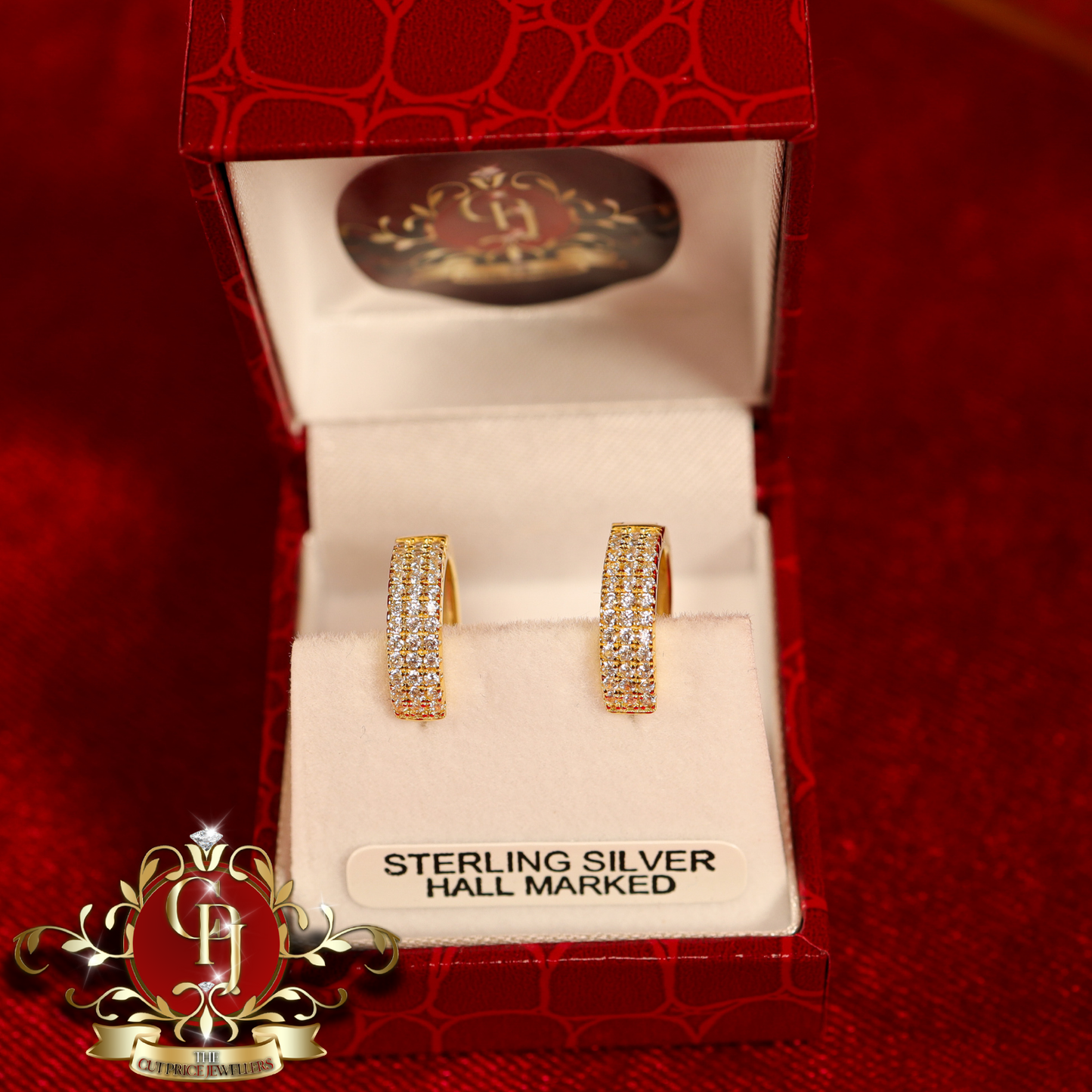 CHRISTMAS DROP NO.4: "Mabel" Hoop Earrings (Gold-Plated with Cubic Zirconia) | The Cut Price Jewellers