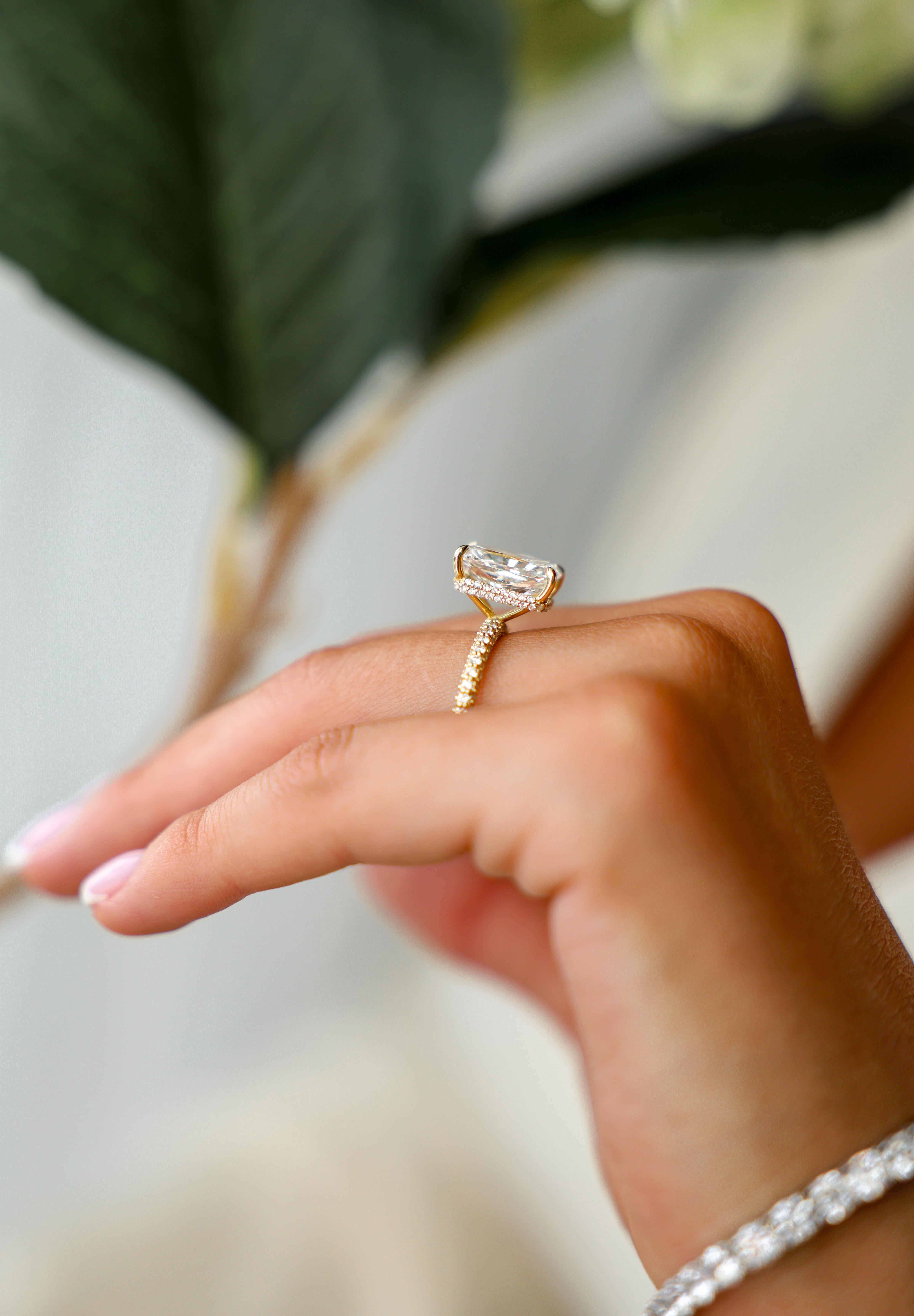 The Beaux Ring