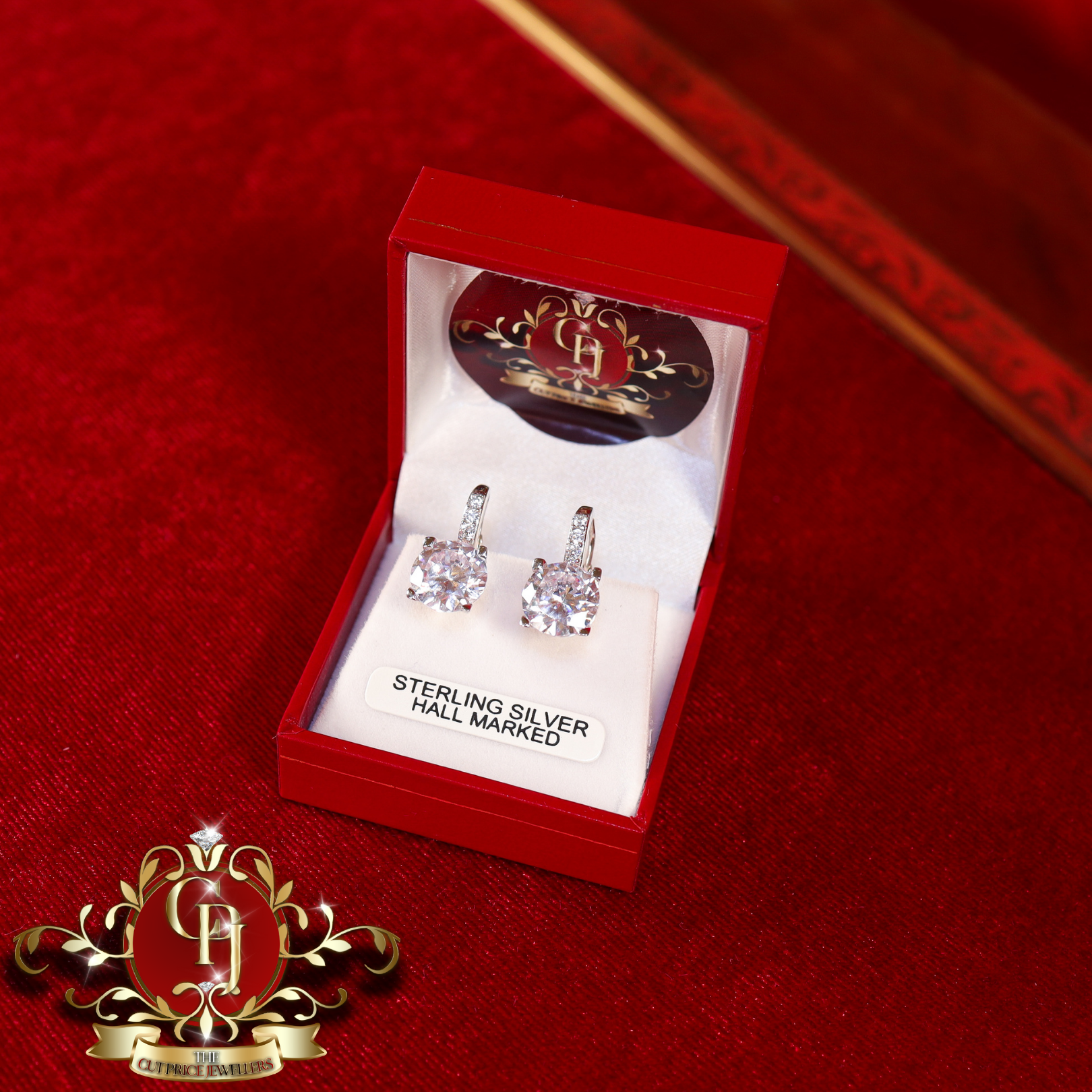 The "Cely" Drop Earrings