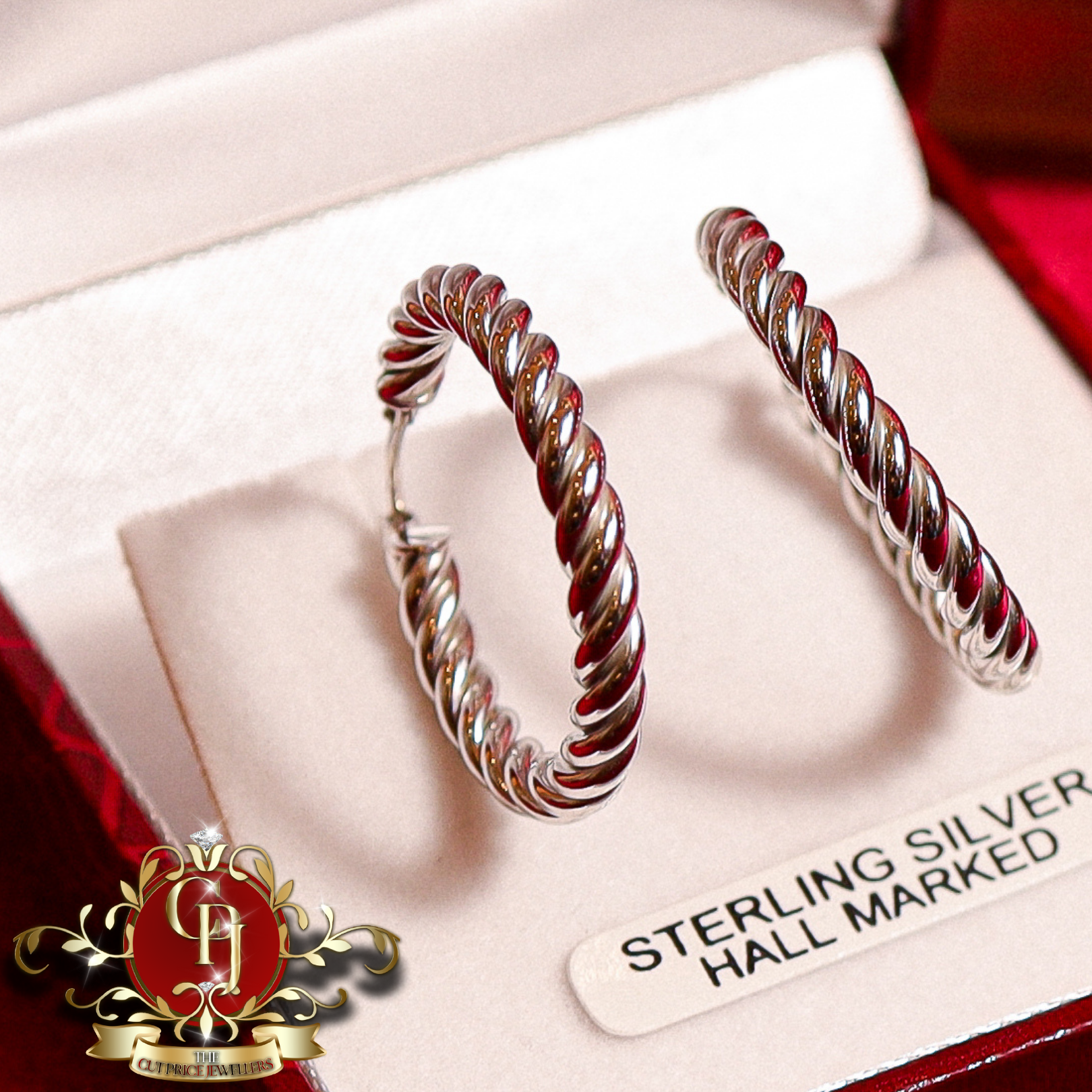 Sterling Silver Twist Hoop Earrings