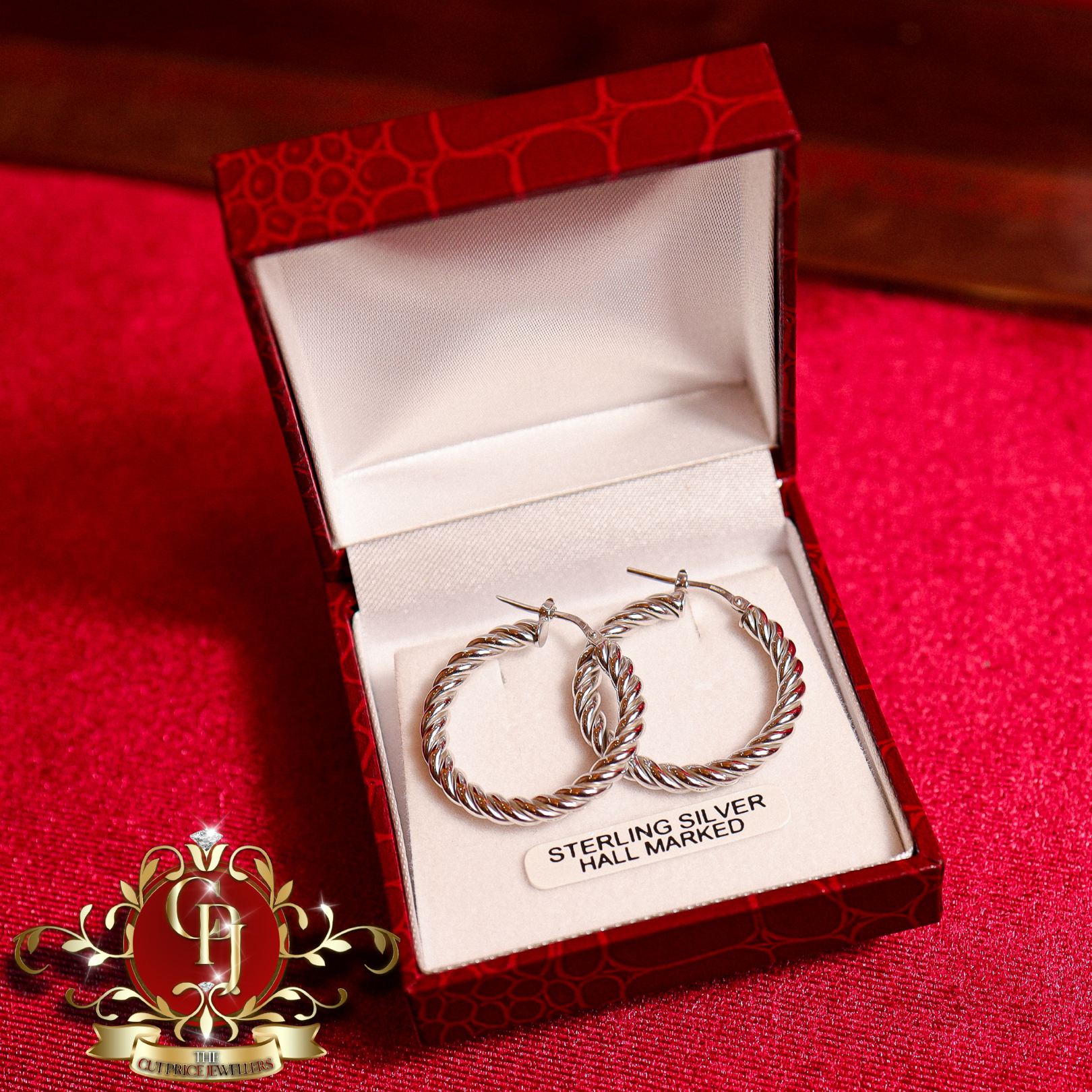 Sterling Silver Twist Hoop Earrings