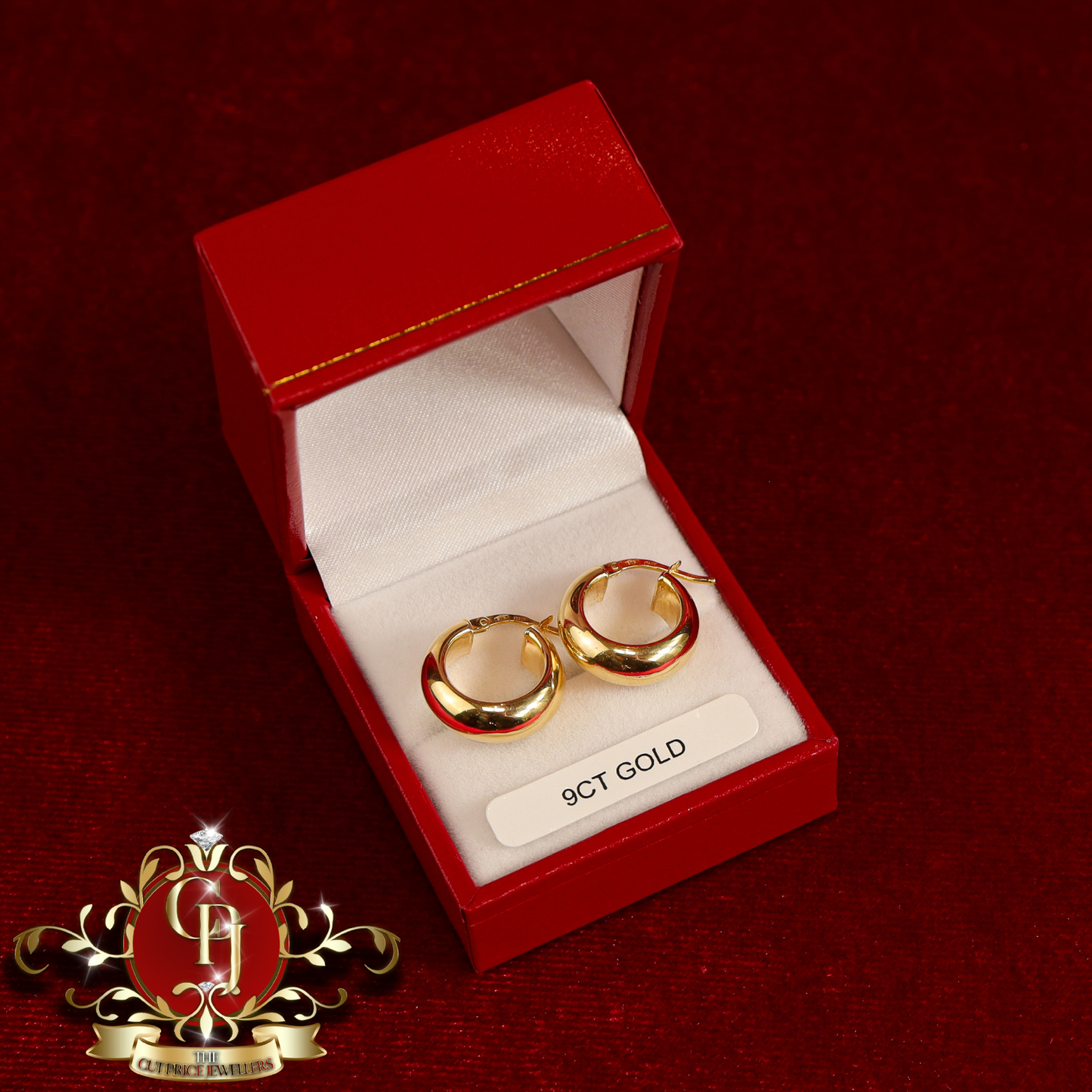 9ct "Alexis" Earrings | The Cut Price Jewellers