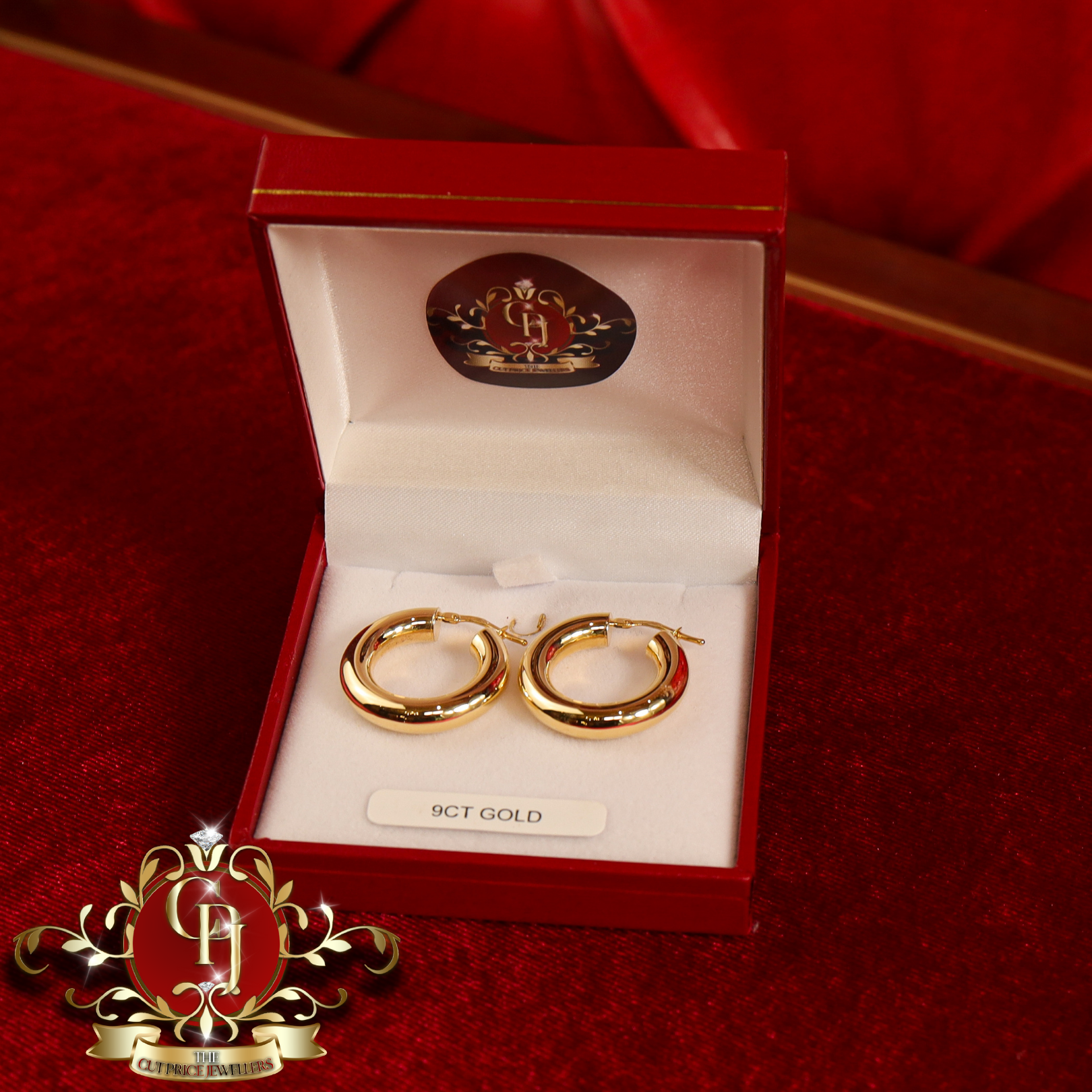 9ct "Taylor" Hoop Earrings