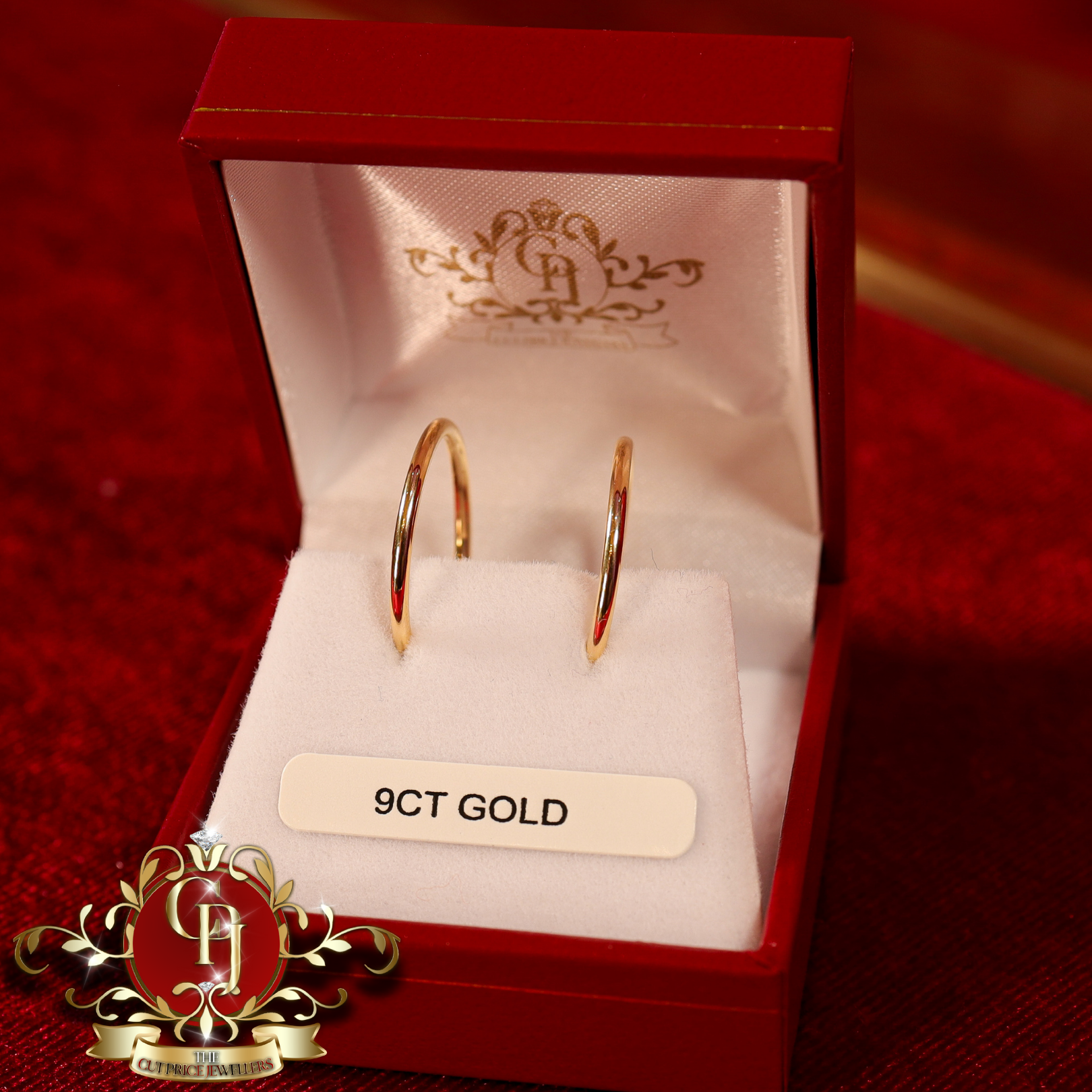 9ct Gold Sleeper Earrings (Large)