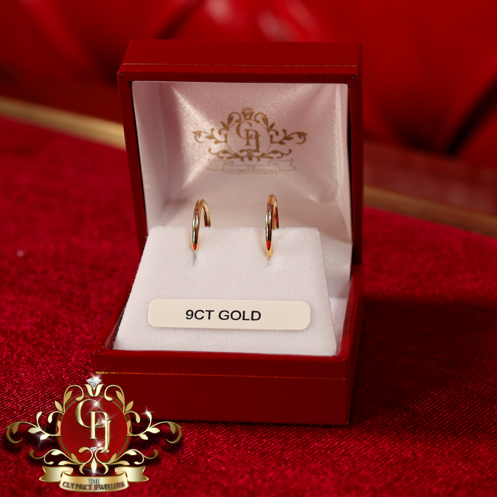 9ct Gold Sleeper Earrings (Medium)