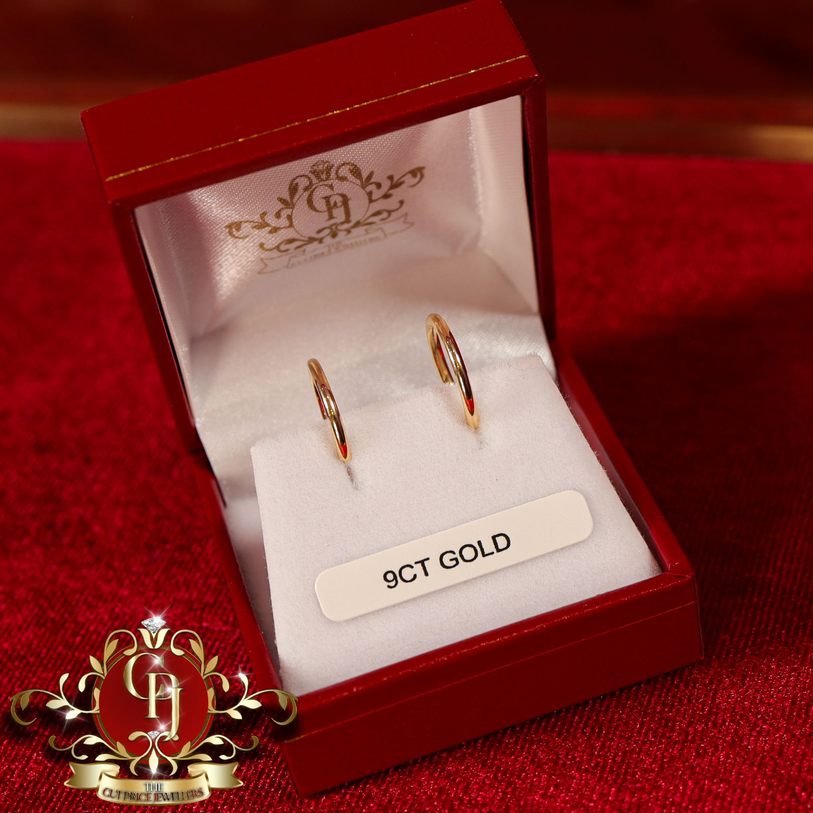 9ct Gold Sleeper Earrings (Medium)