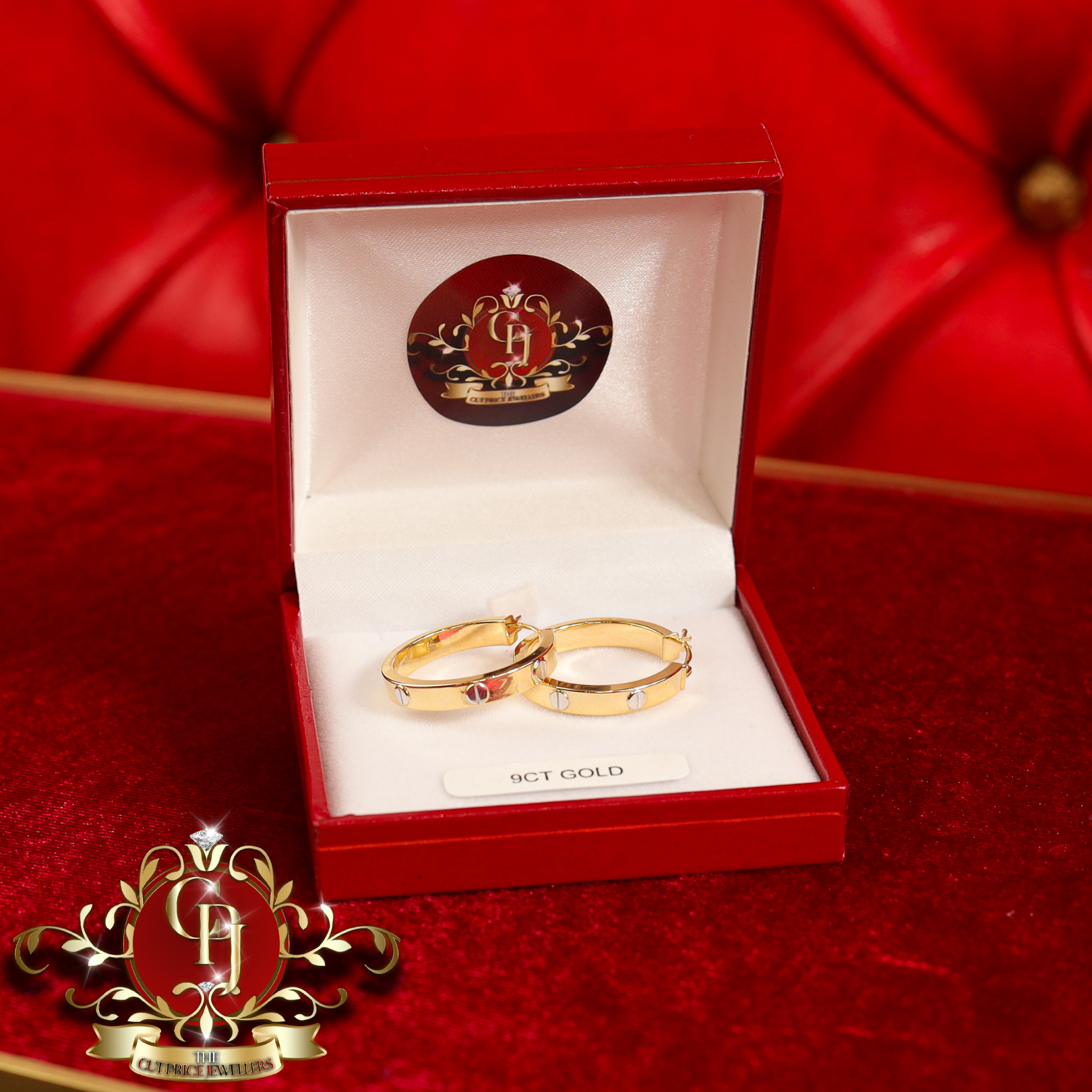 9ct "Santana" Screwhead Hoop Earrings
