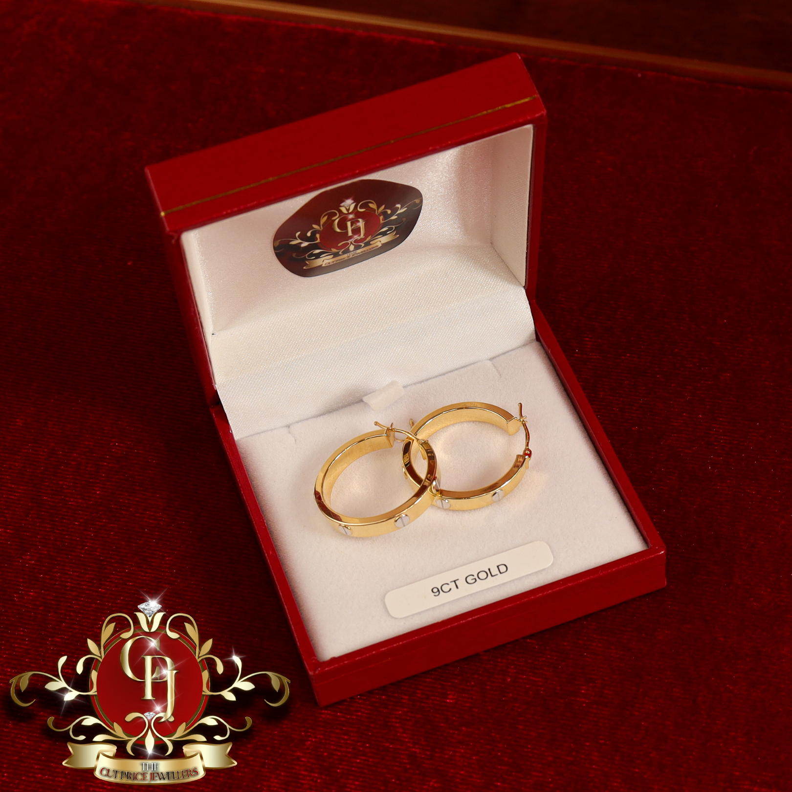 9ct "Santana" Screwhead Hoop Earrings