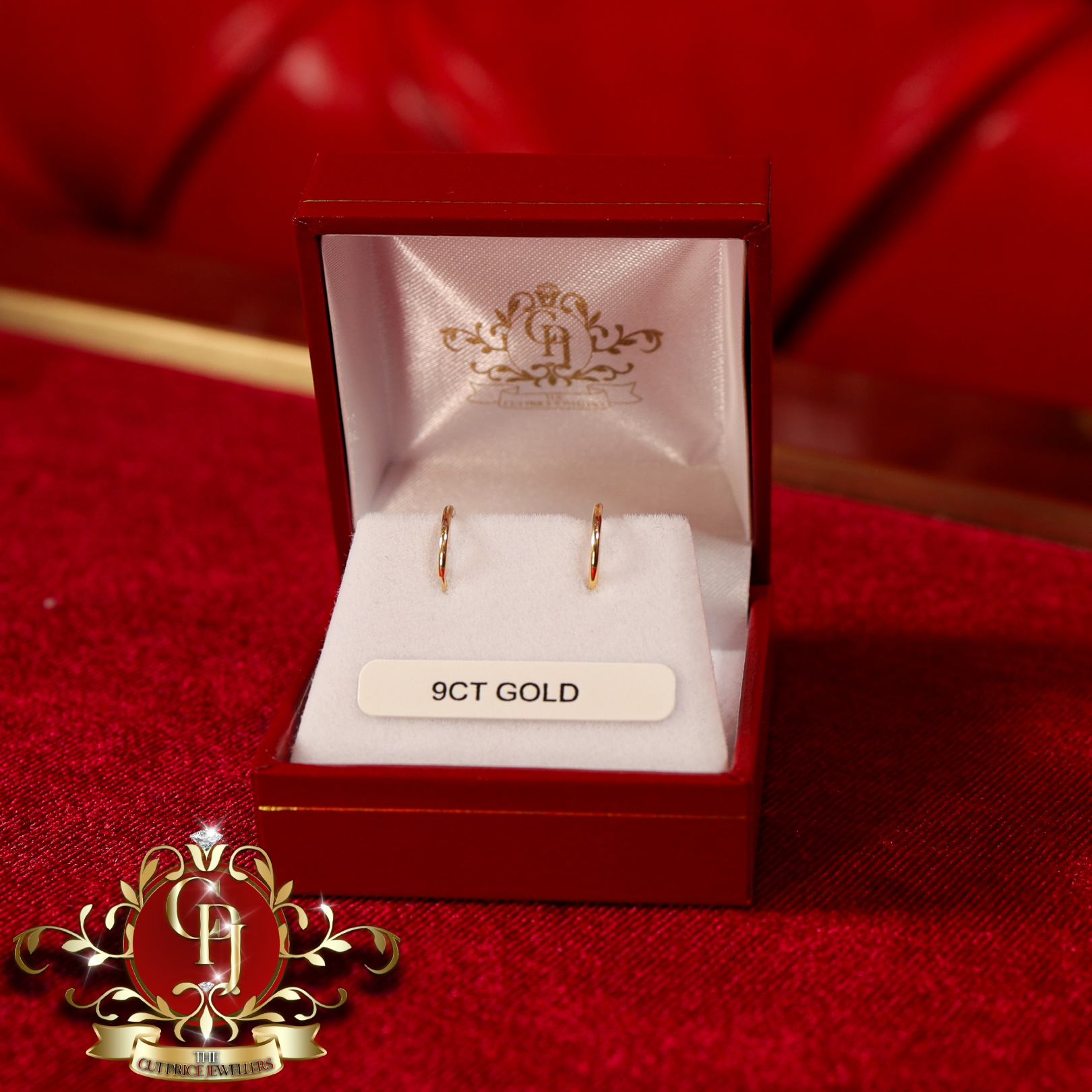 9ct Gold Sleeper Earrings (Small)