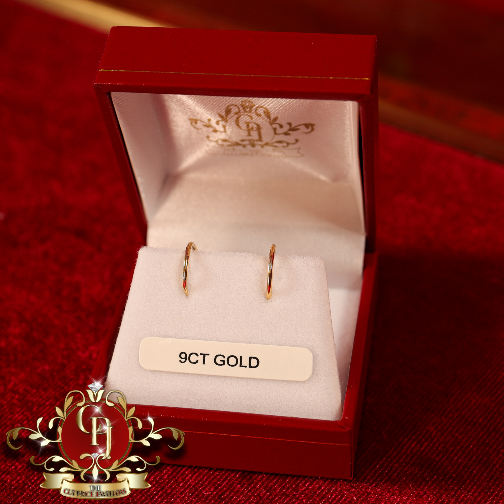 9ct Gold Sleeper Earrings (Small)