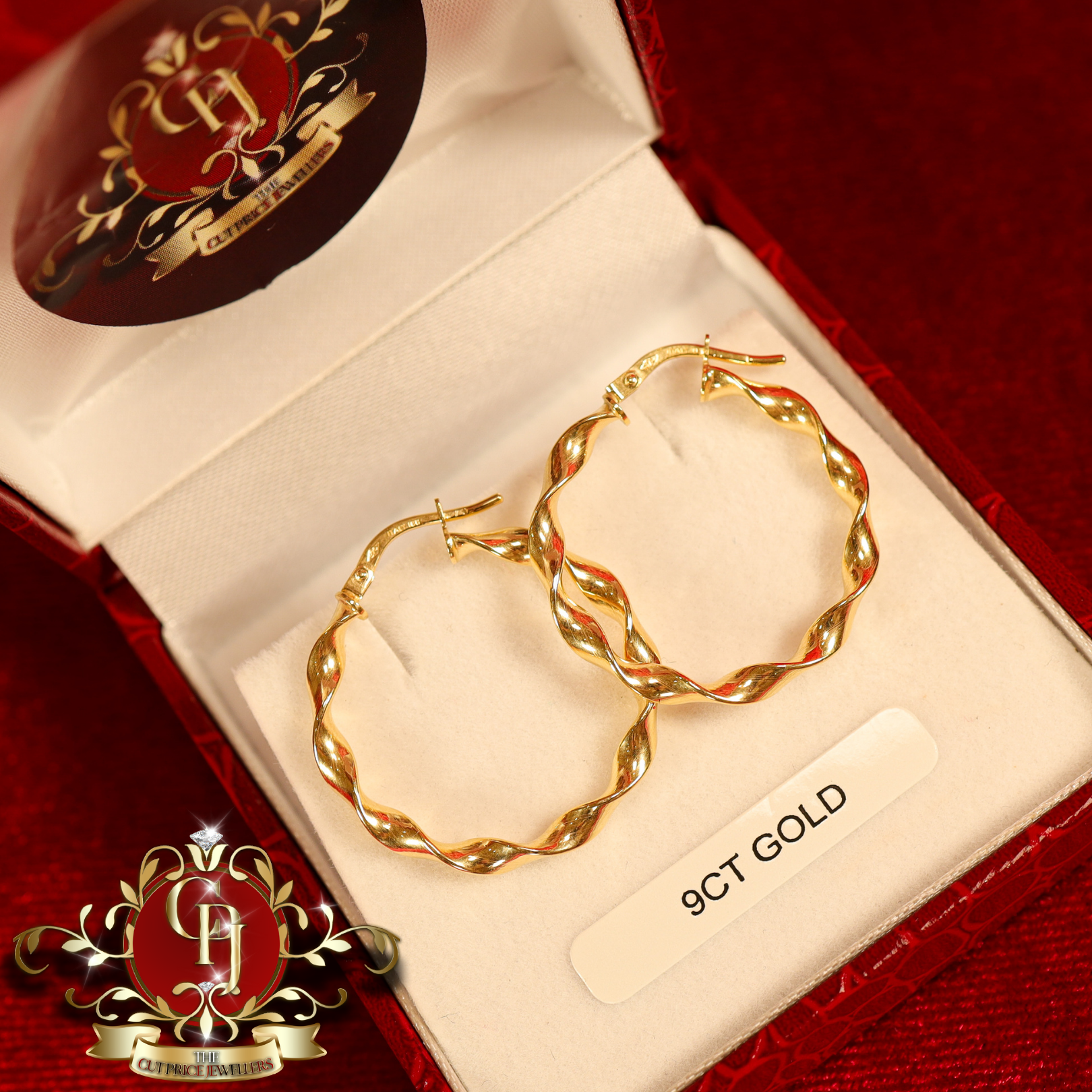 9ct Twist Hoop Earrings