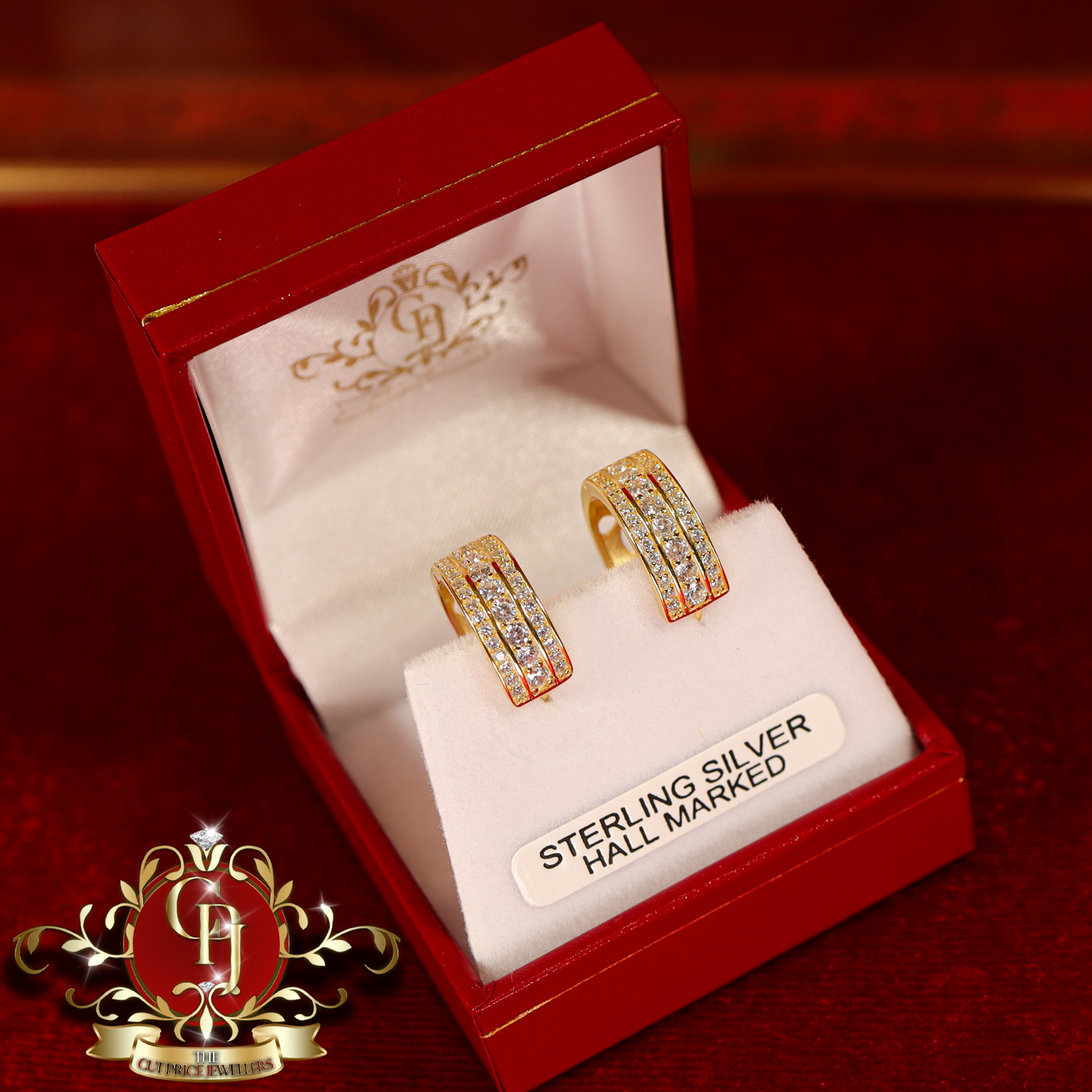 CHRISTMAS DROP NO.6: "Avianna" Hoop Earrings (Gold-Plated with Cubic Zirconia) | The Cut Price Jewellers