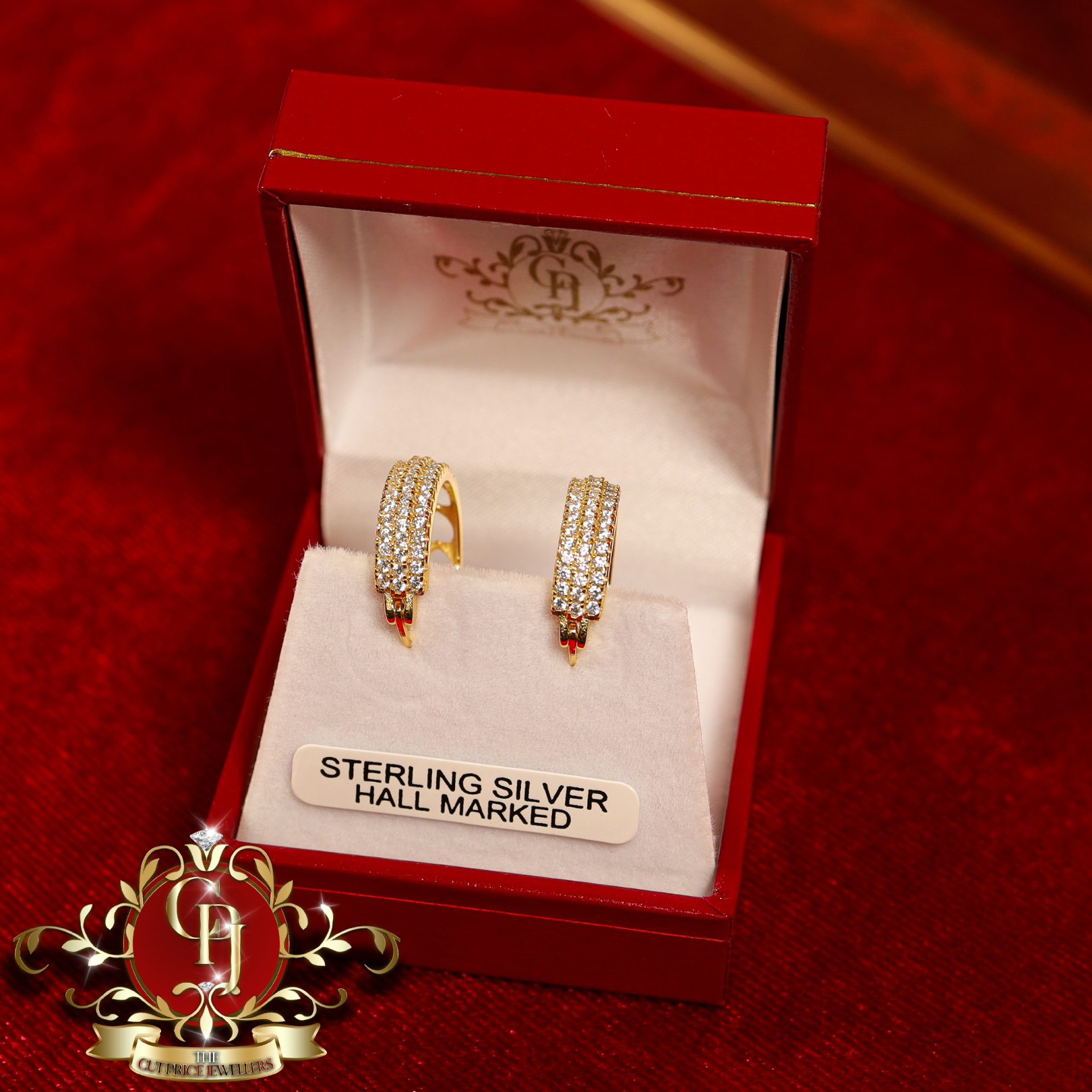The "Cathy" Hoop Earrings (Gold-Plated with Cubic Zirconia)