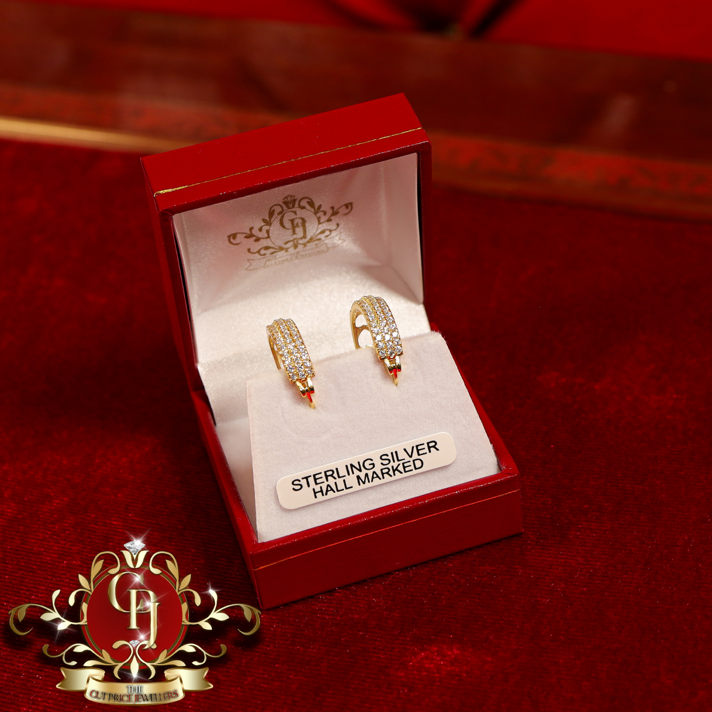 The "Cathy" Hoop Earrings (Gold-Plated with Cubic Zirconia) | The Cut Price Jewellers