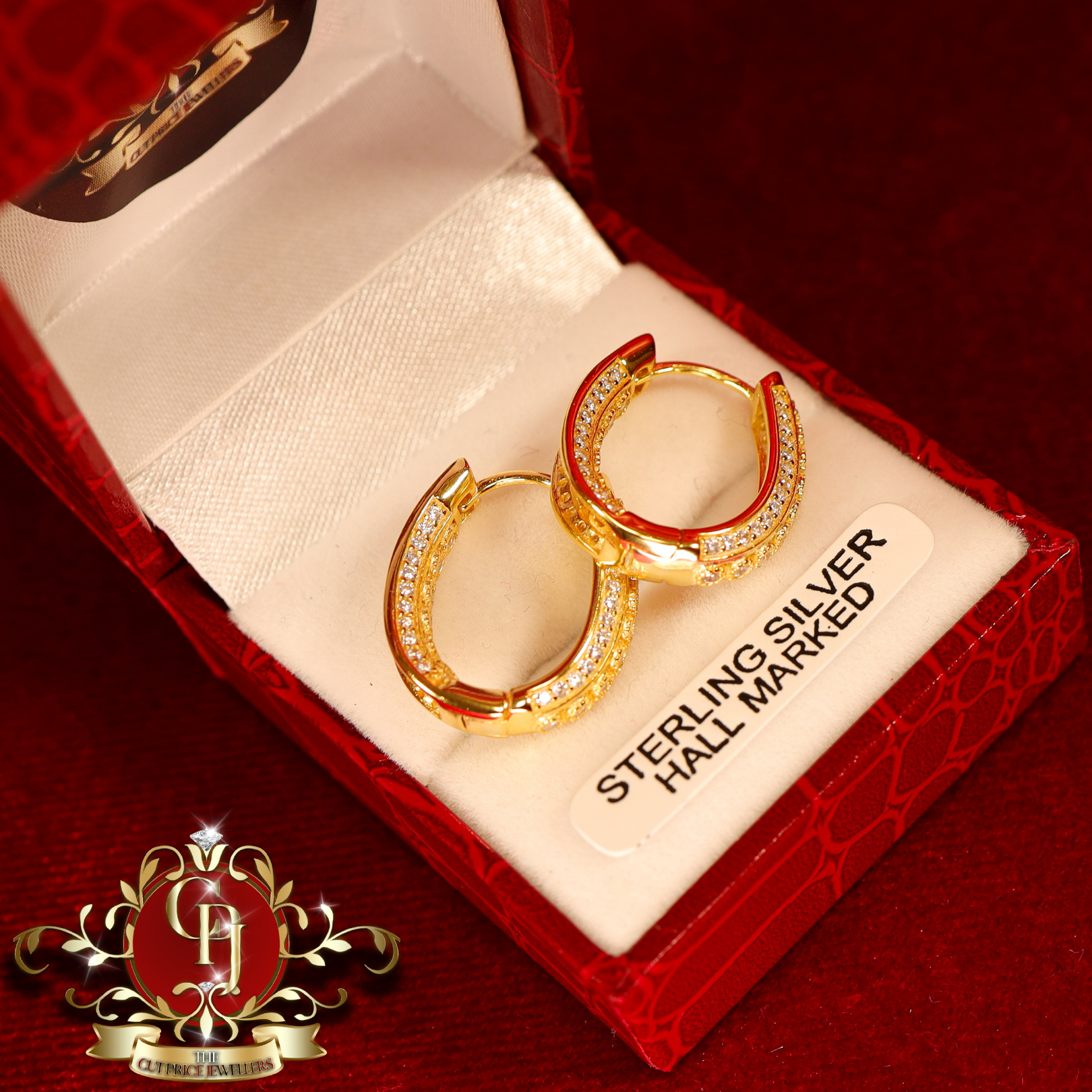 CHRISTMAS DROP Hoop Earrings (Gold-Plated)