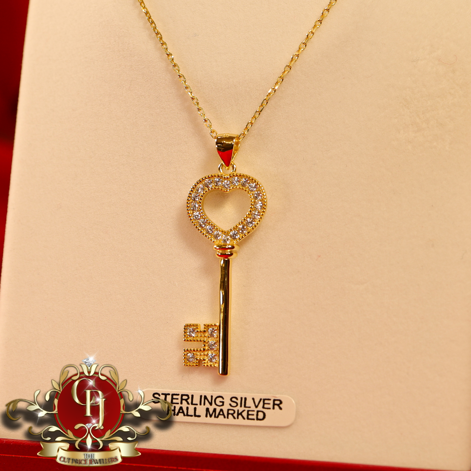 CHRISTMAS DROP NO.6: The "Goldie Key" Pendant & Chain (Gold-Plated with Cubic Zirconia)