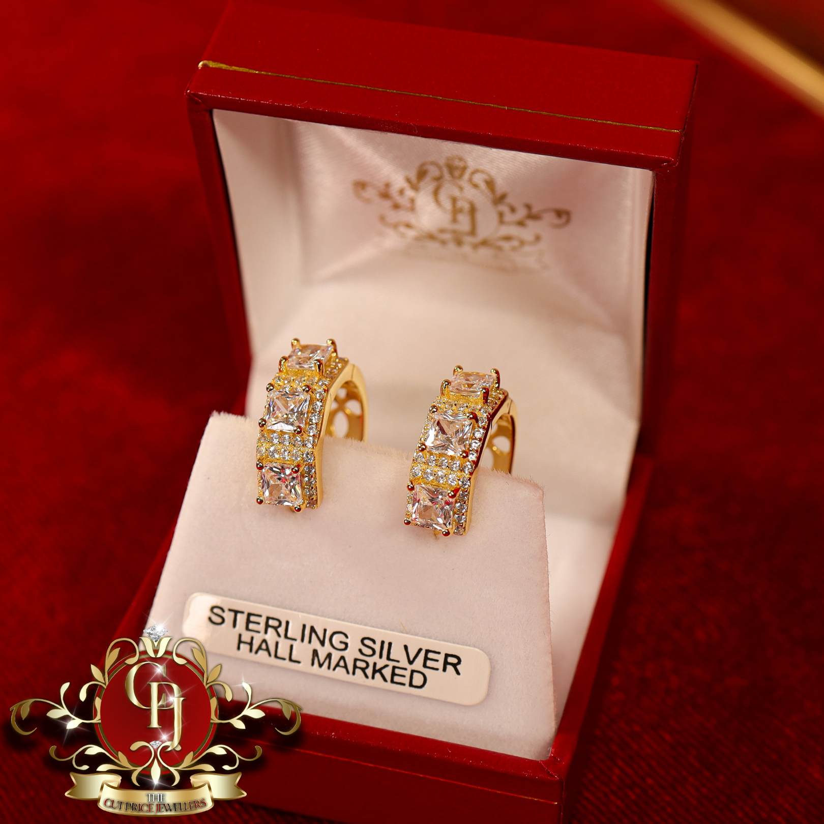 CHRISTMAS DROP  Hoop Earrings (Gold-Plated with Cubic Zirconia)