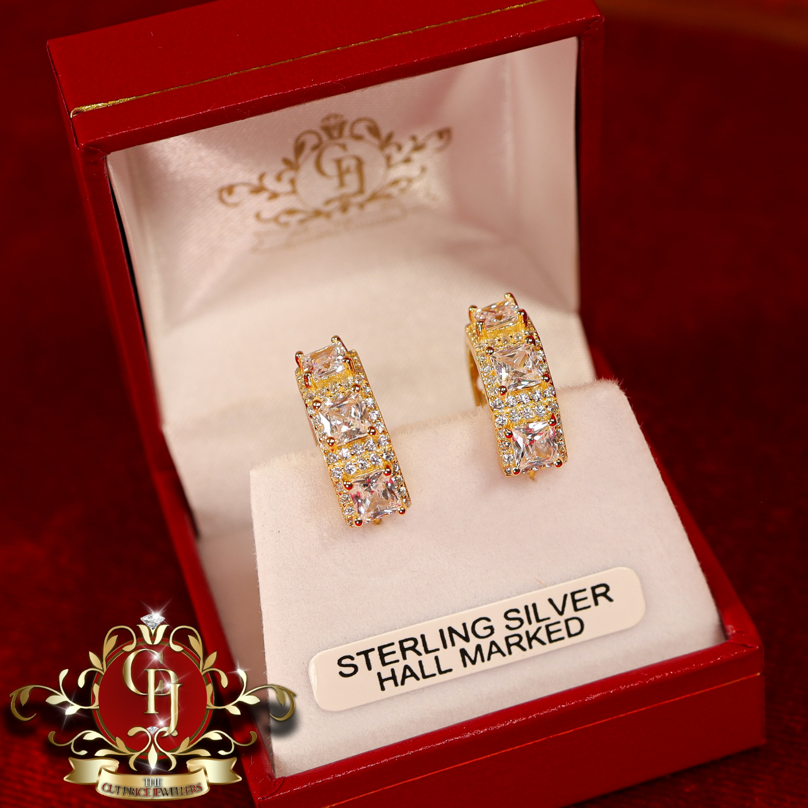 CHRISTMAS DROP  Hoop Earrings (Gold-Plated with Cubic Zirconia)