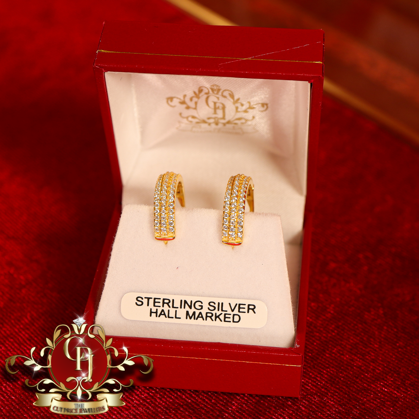 CHRISTMAS DROP NO.5: "Kyla" Hoop Earrings (Gold-Plated with Cubic Zirconia) | The Cut Price Jewellers