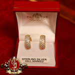 The "Libby" Hoop Earrings (Gold-Plated with Cubic Zirconia)