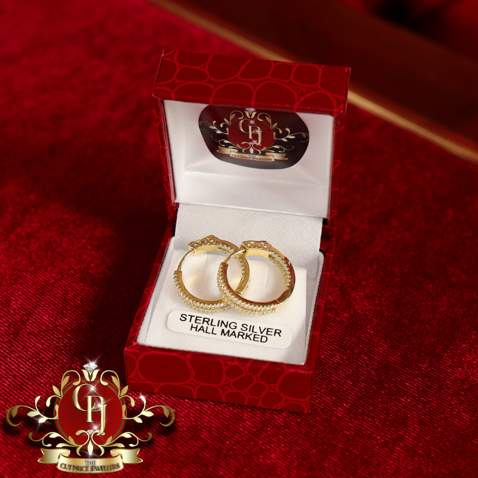 The "Nara" Hoops (Gold-Plated)