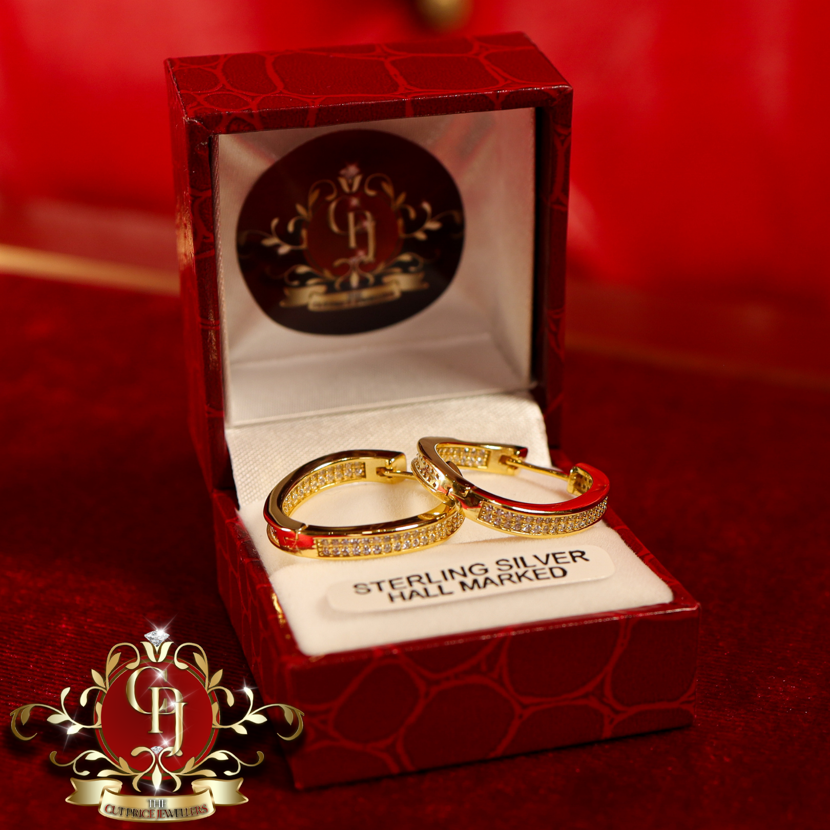 CHRISTMAS DROP Hoop Earrings (Gold-Plated)