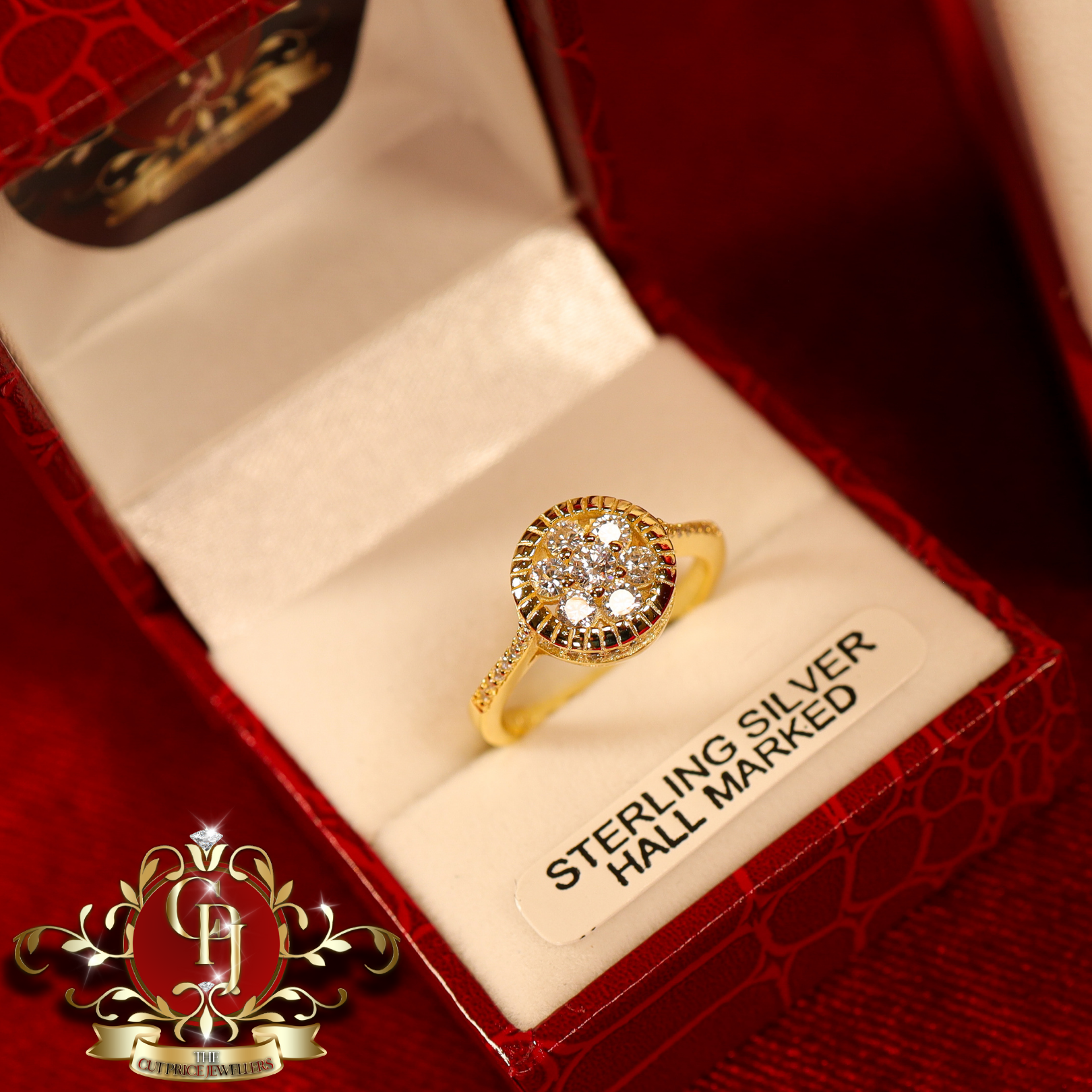 CHRISTMAS DROP NO.6: The "Rosa" Set (Gold-Plated with Cubic Zirconia)