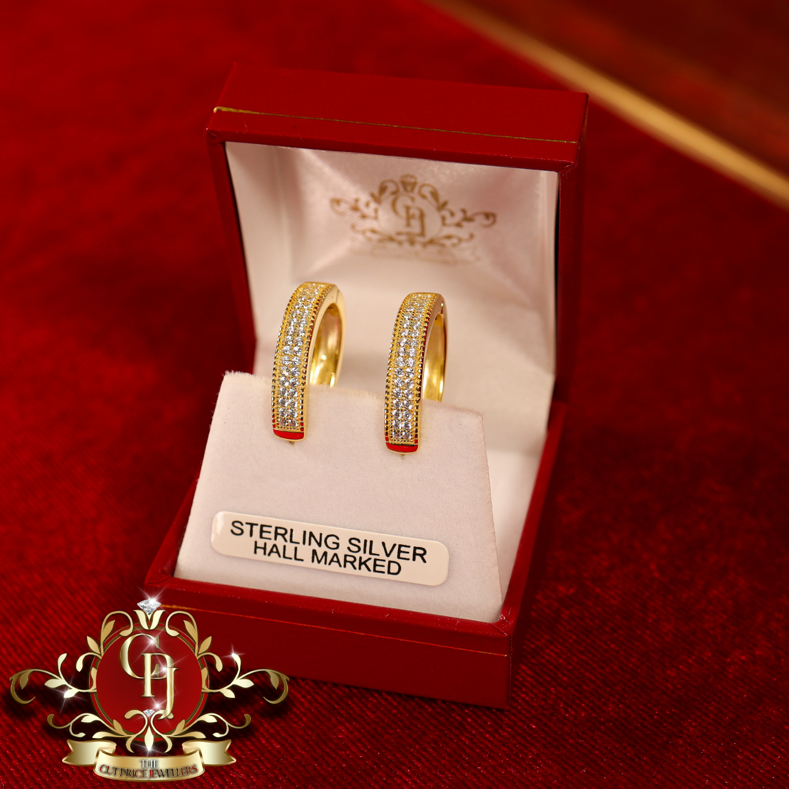 CHRISTMAS DROP  Hoop Earrings (Gold-Plated with Cubic Zirconia)