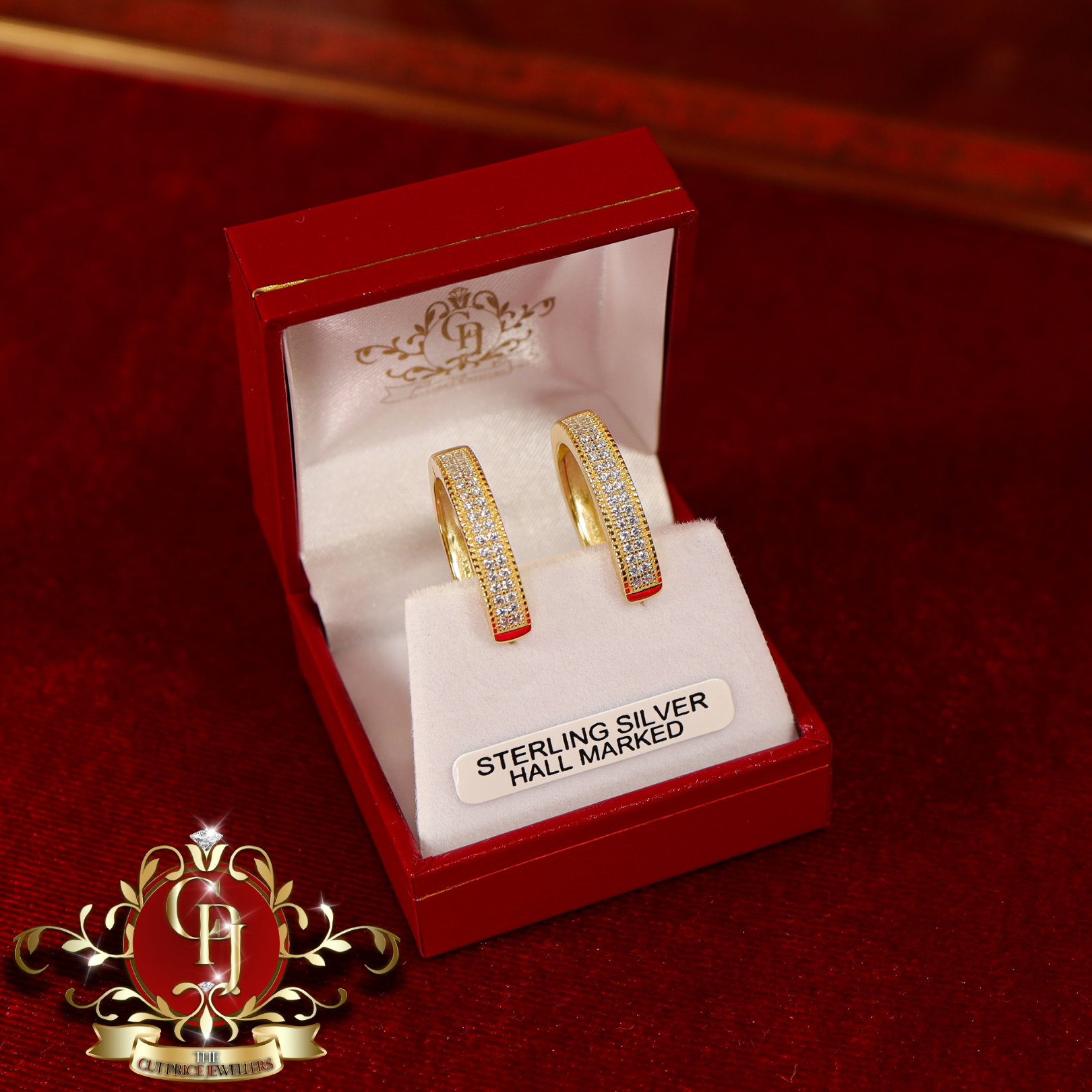 CHRISTMAS DROP  Hoop Earrings (Gold-Plated with Cubic Zirconia)