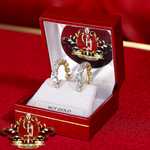 9ct Gold Hoop Earrings with Cubic Zirconia