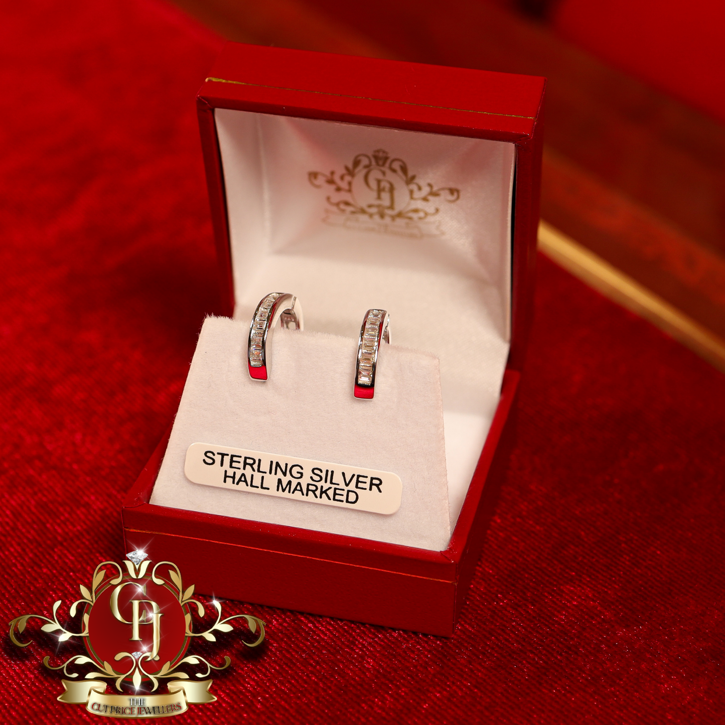 The "Aliyah" Hoop Earrings (Sterling Silver with Cubic Zirconia) | The Cut Price Jewellers