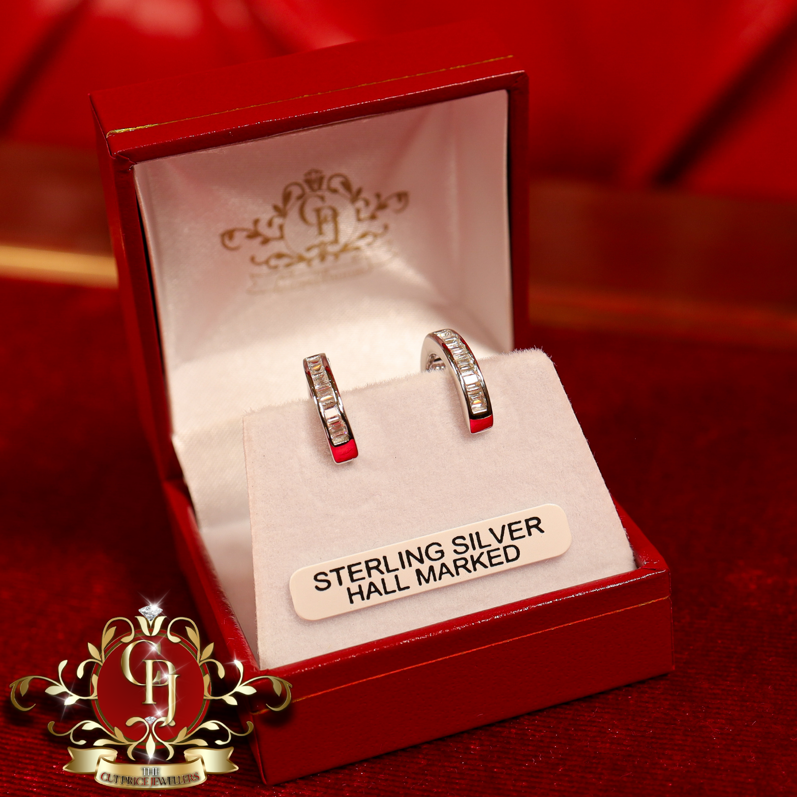 The "Aliyah" Hoop Earrings (Sterling Silver with Cubic Zirconia)