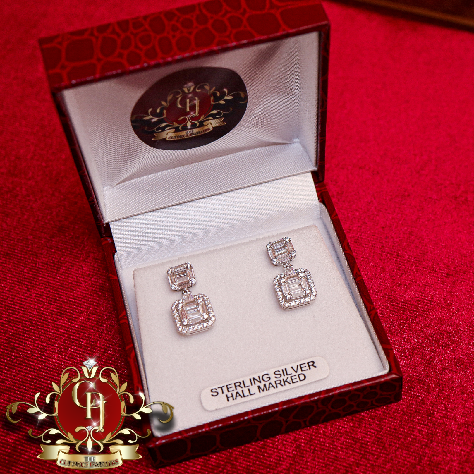 Sterling Silver Drop Earrings with Cubic Zirconia