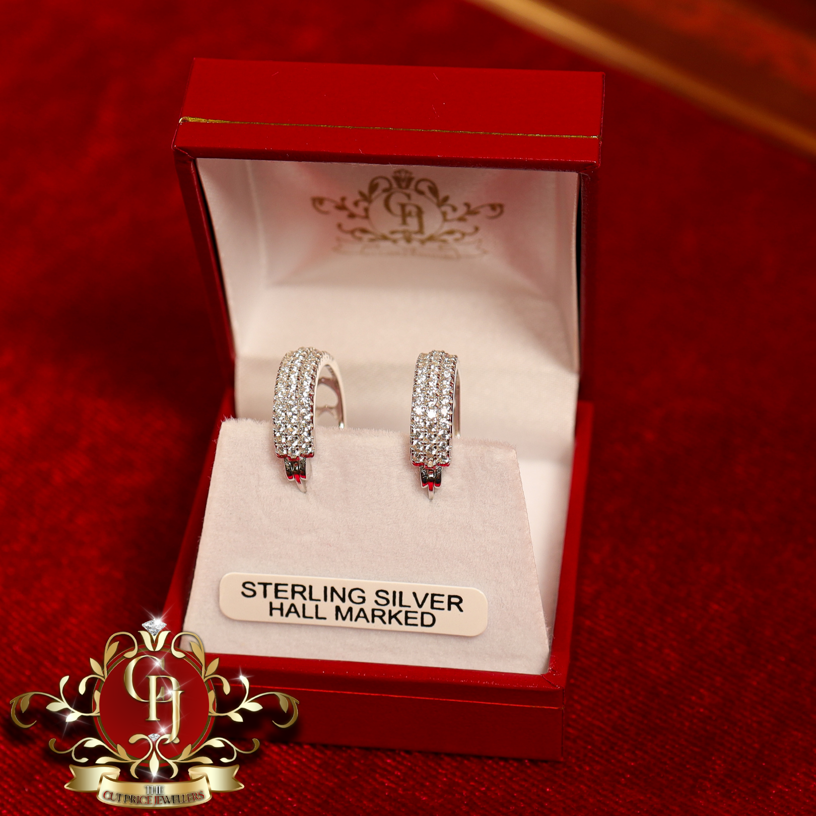 The "Cathy" Hoop Earrings (Sterling Silver with Cubic Zirconia)