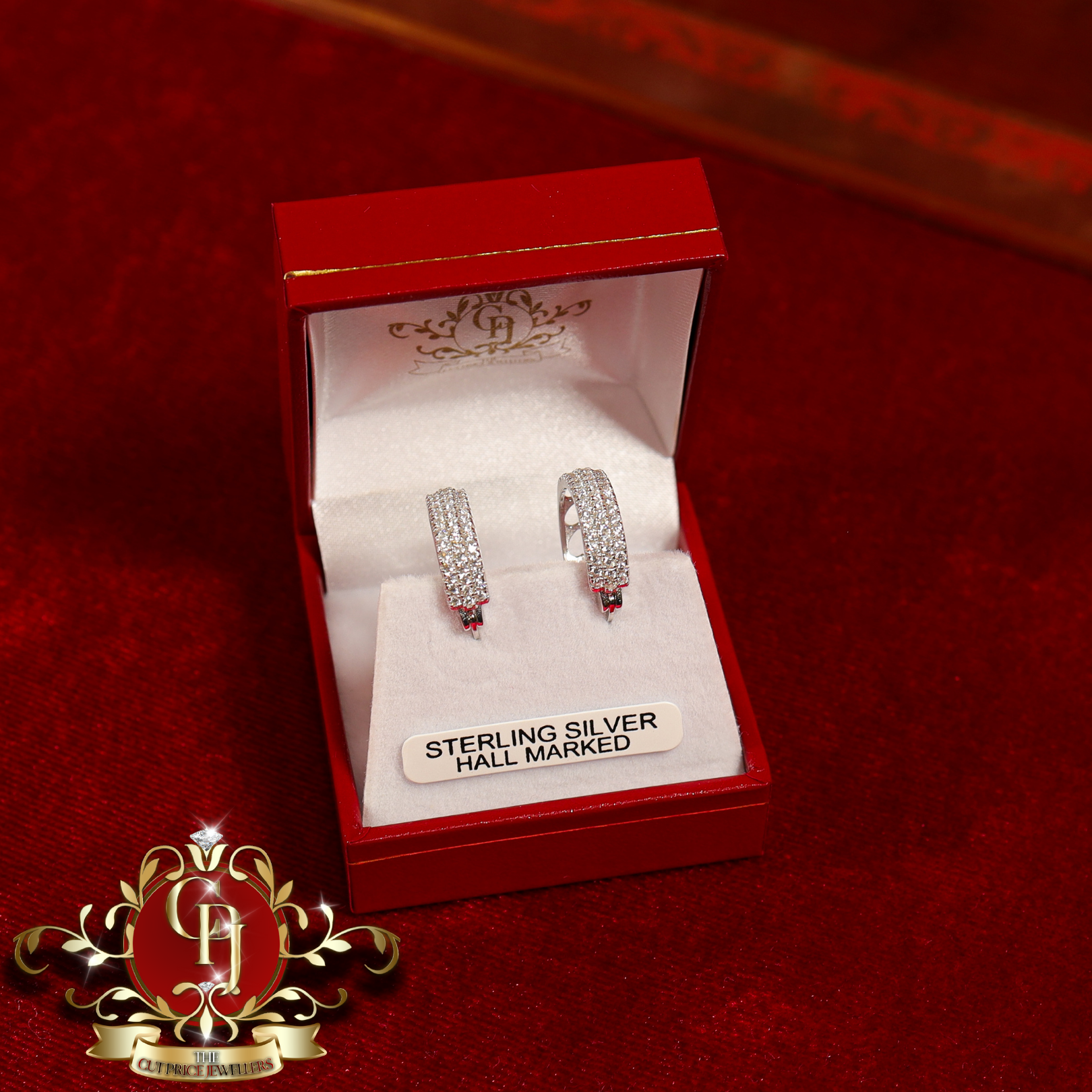 The "Cathy" Hoop Earrings (Sterling Silver with Cubic Zirconia)