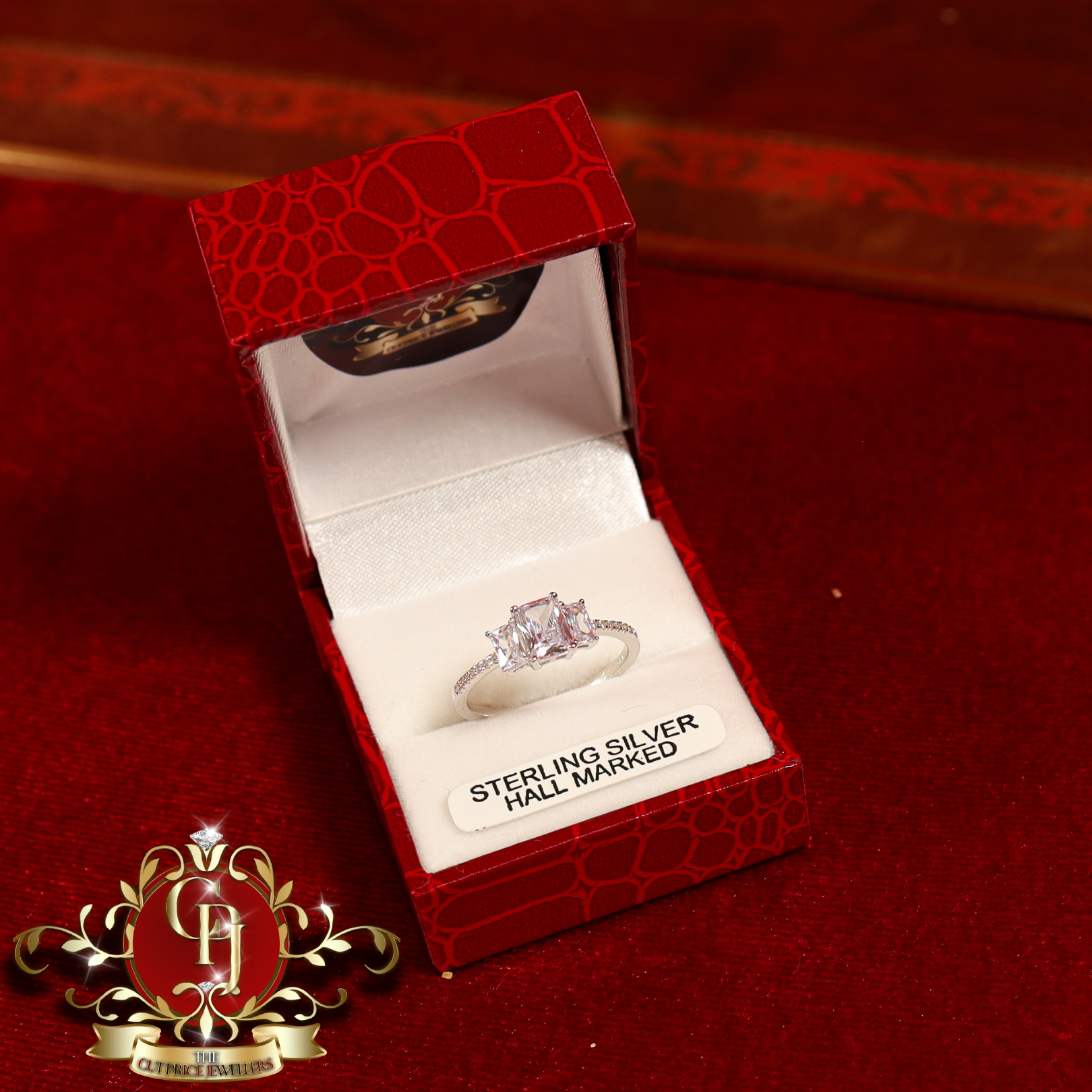 The "Christine" Ring (Sterling Silver with Cubic Zirconia)