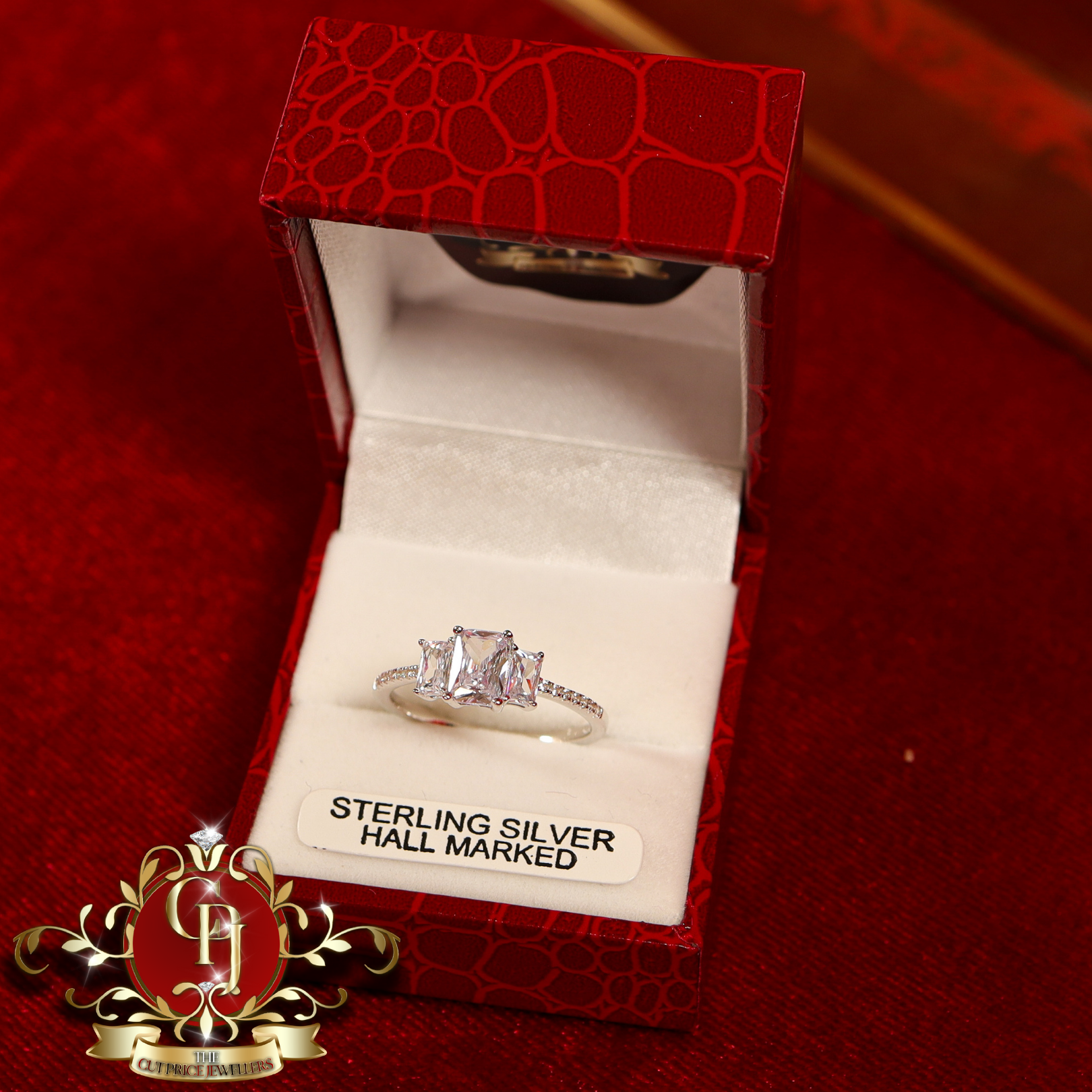 The "Christine" Ring (Sterling Silver with Cubic Zirconia)