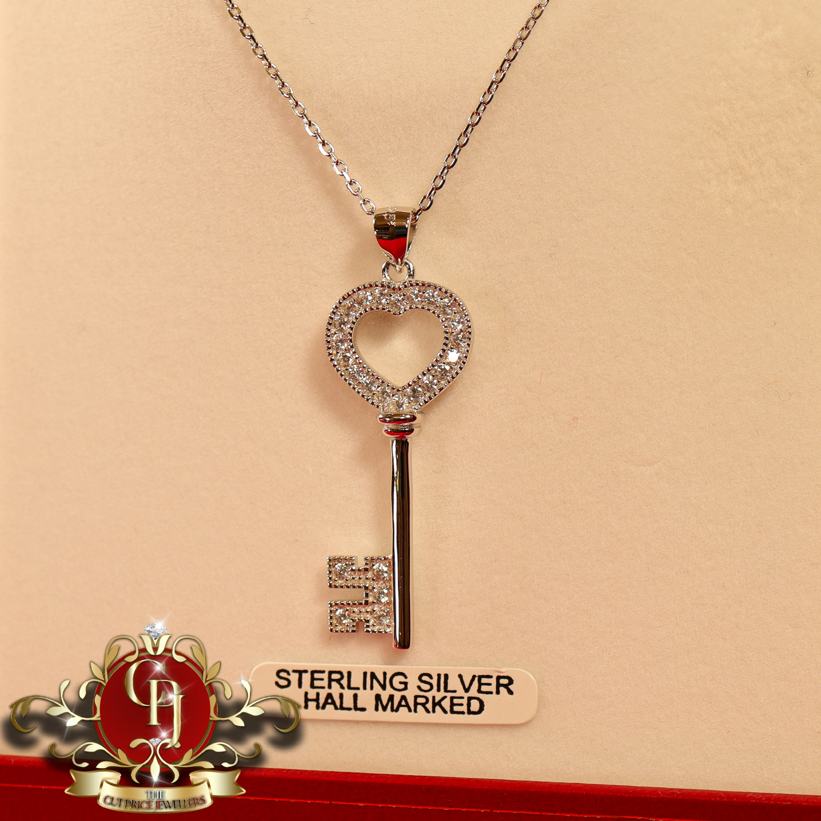 CHRISTMAS DROP NO.6: The "Goldie Key" Pendant & Chain (Sterling Silver with Cubic Zirconia)