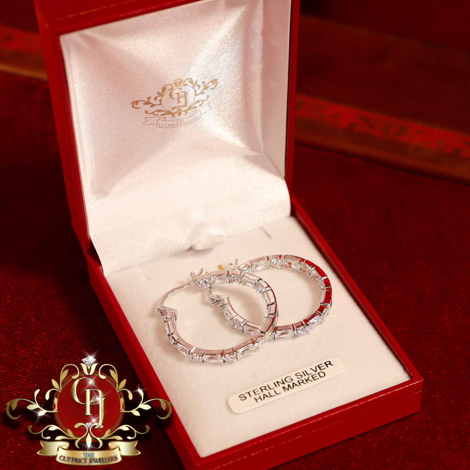 The "Hannah" Hoop Earrings (Sterling Silver with Cubic Zirconia)