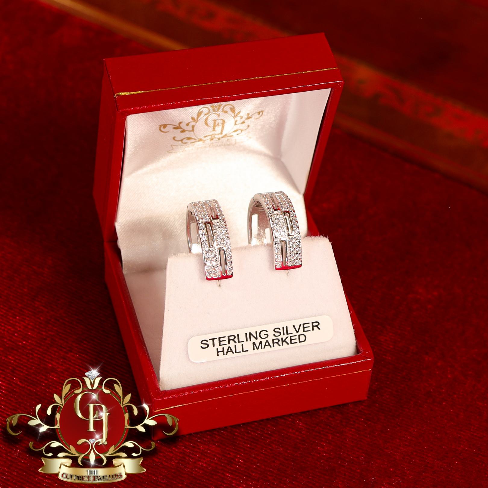 The "Helen" Hoop Earrings (Sterling Silver with Cubic Zirconia)