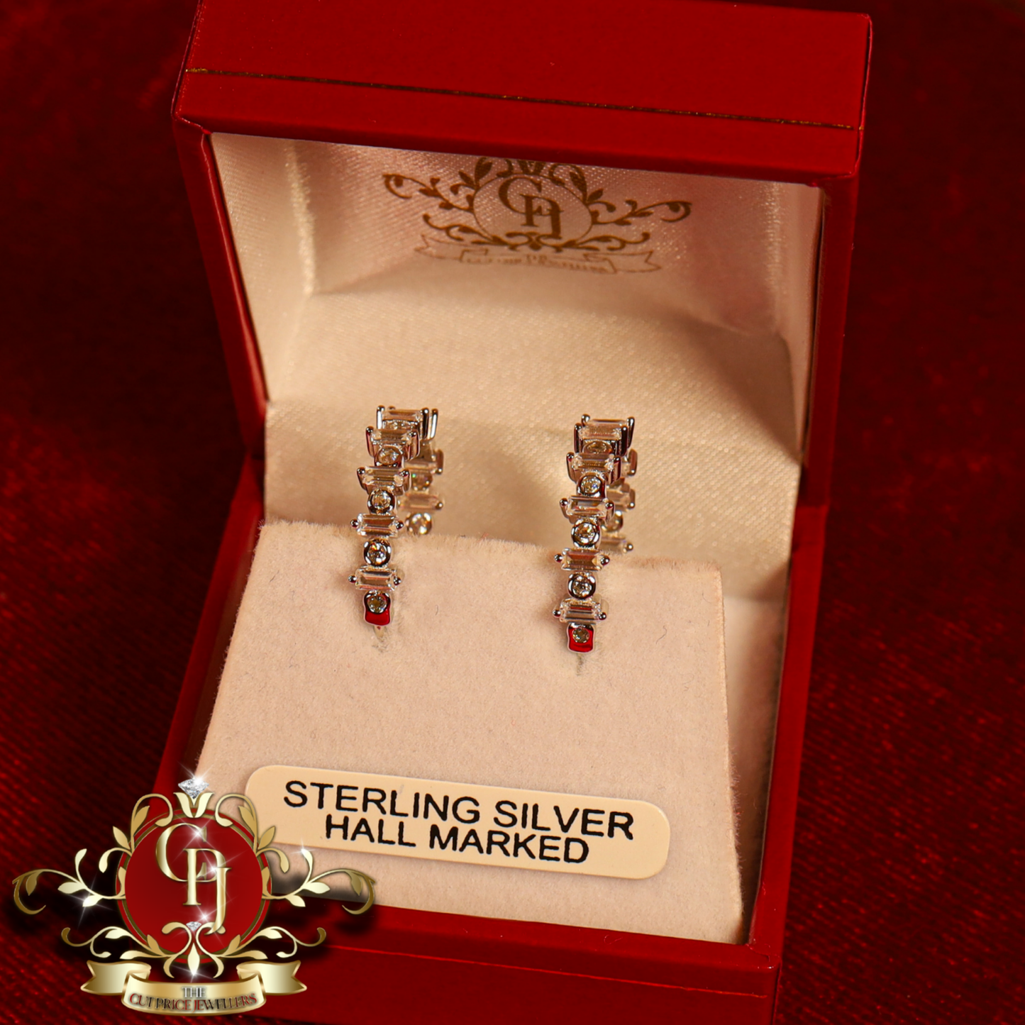 Sterling Silver Hoops | The Cut Price Jewellers