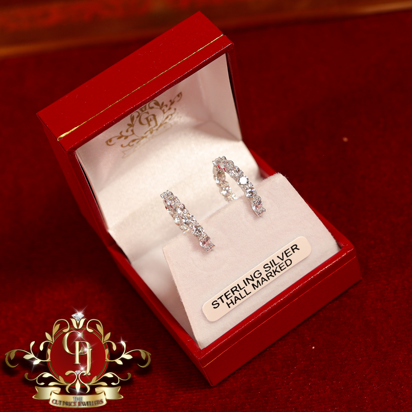 The "Tina" Hoop Earrings (Sterling Silver with Cubic Zirconia) | The Cut Price Jewellers