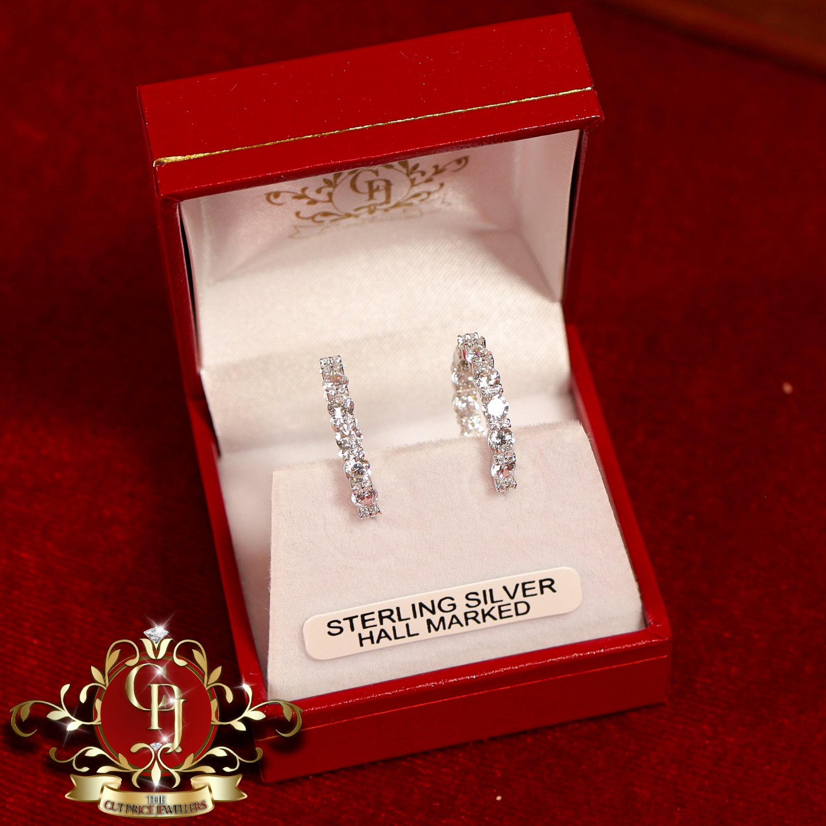 The "Ari" Hoop Earrings (Sterling Silver with Cubic Zirconia)