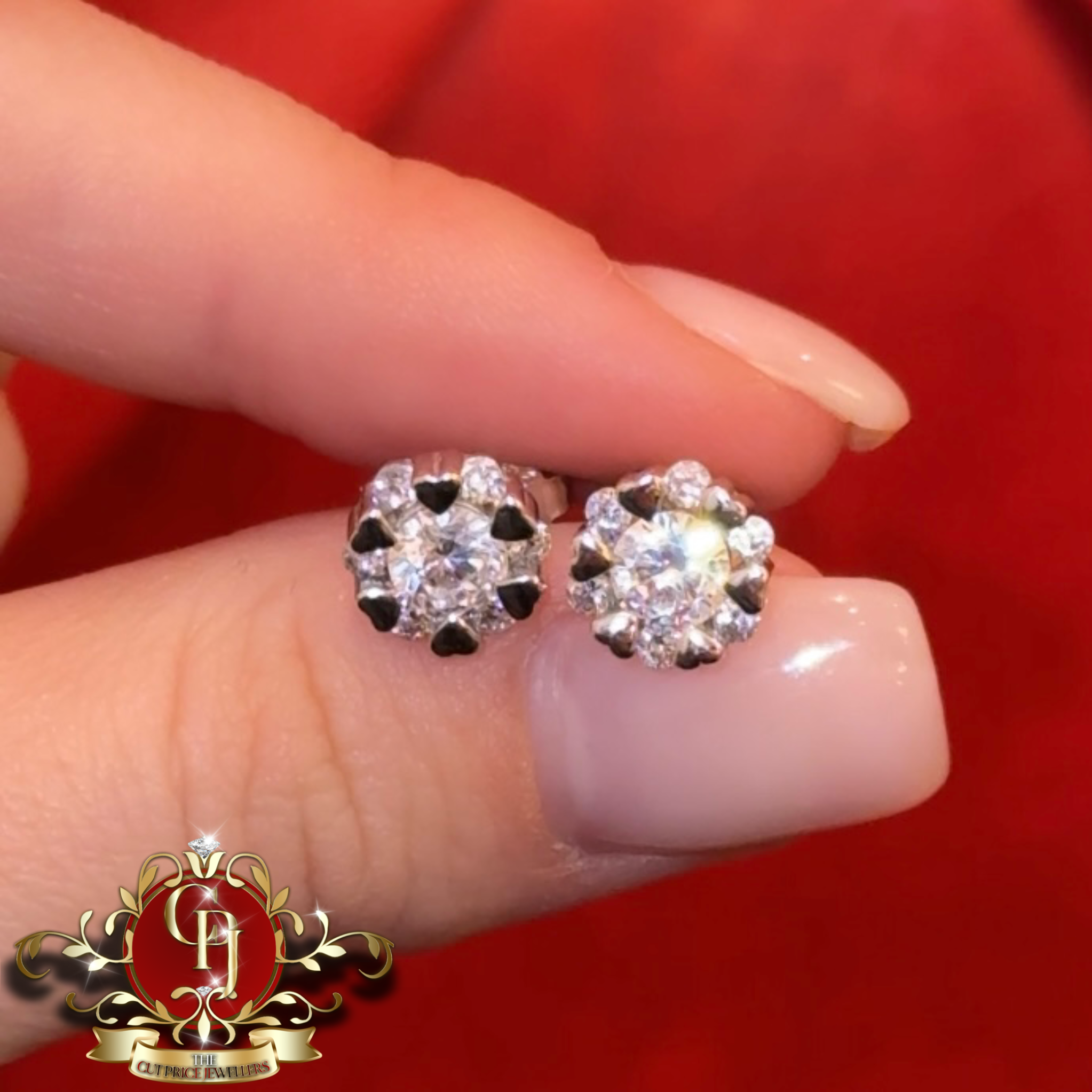 The Shay Studs