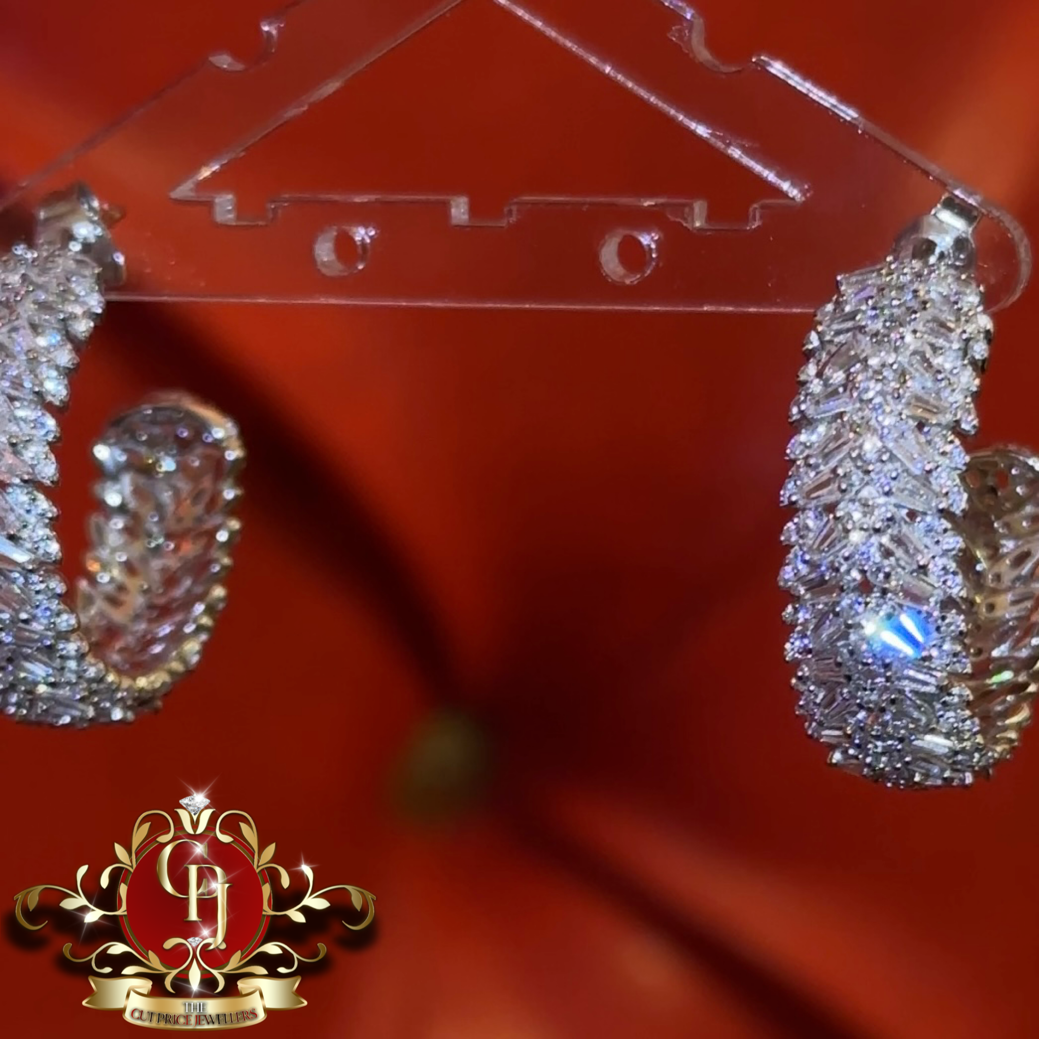 The Aria Hoops