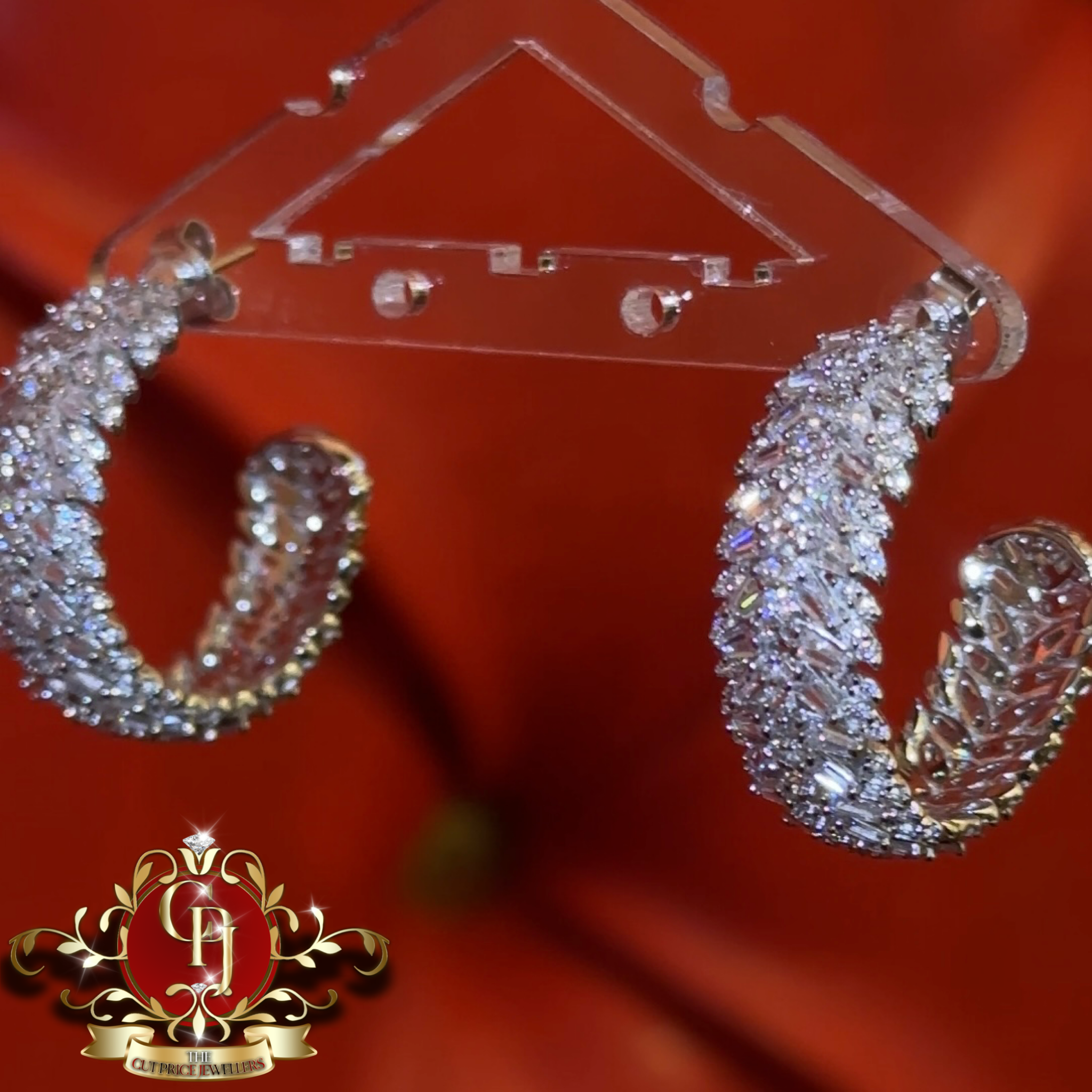 The Aria Hoops