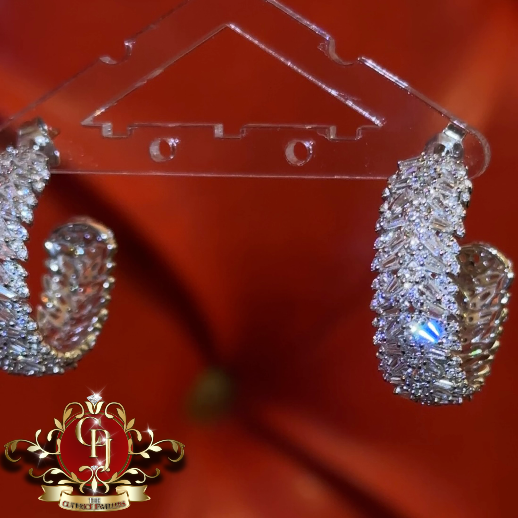 The Aria Hoops
