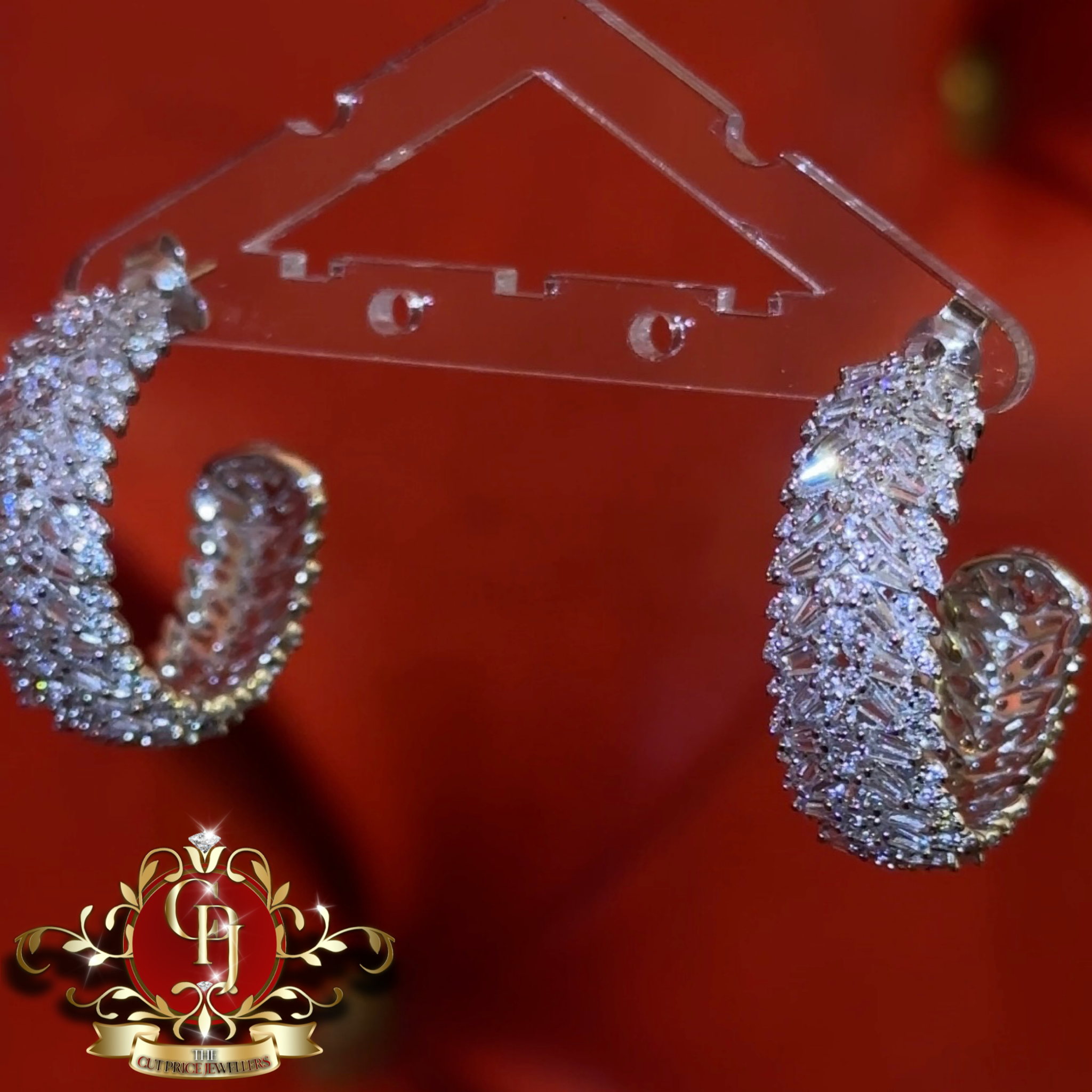 The Aria Hoops